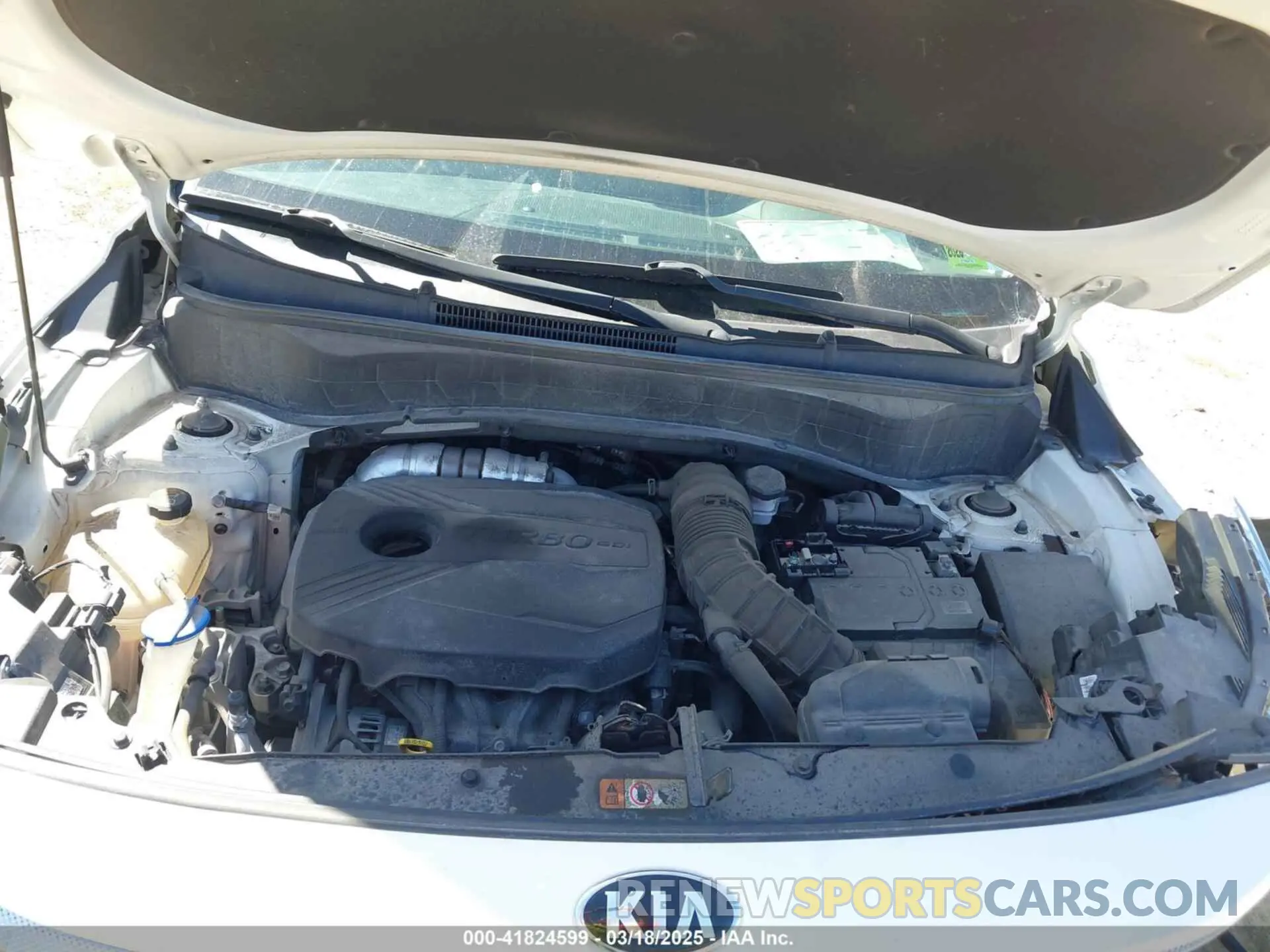 10 Photograph of a damaged car KNDETCA28M7206615 KIA SELTOS 2021