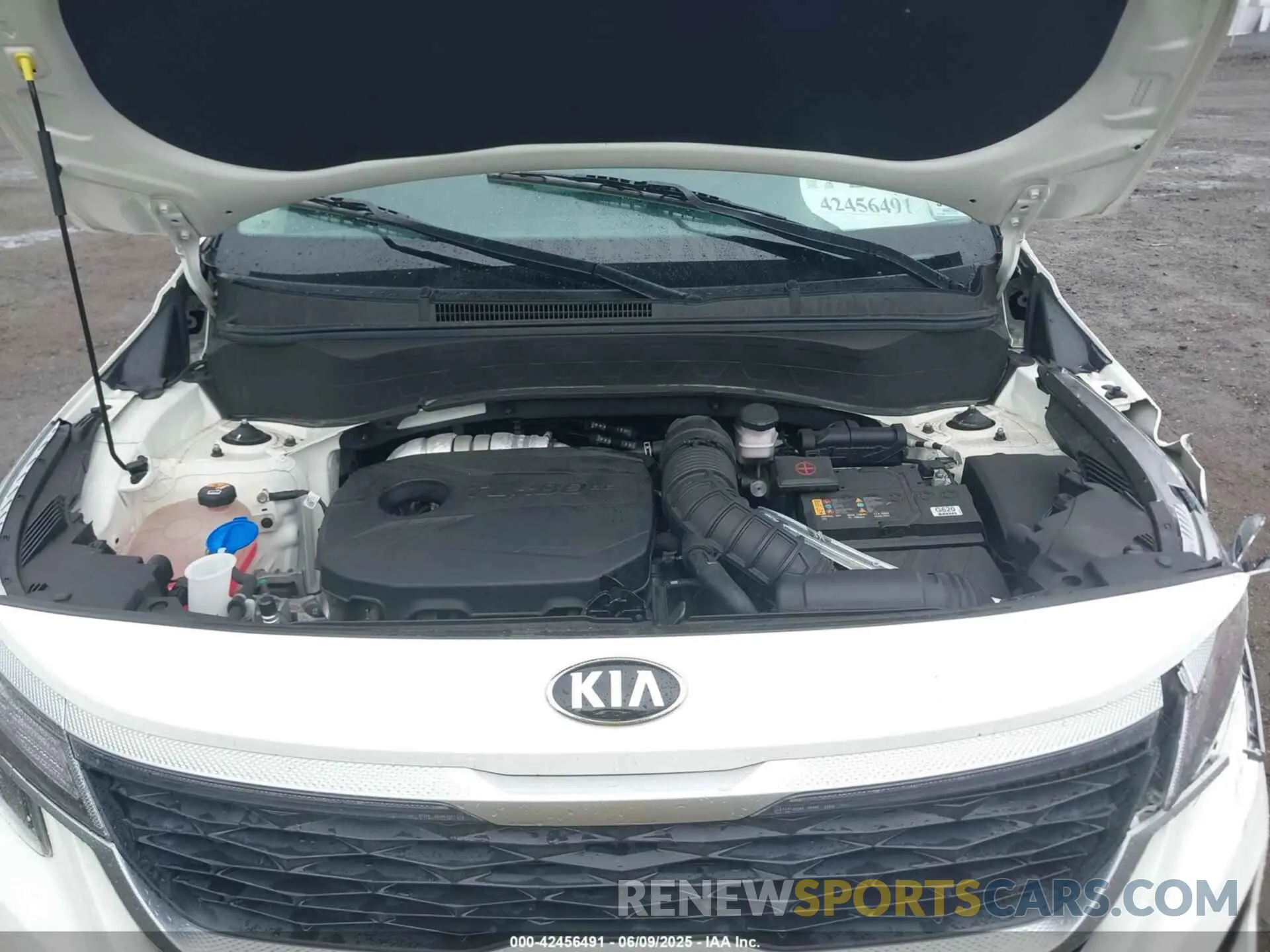 10 Photograph of a damaged car KNDEUCA21M7211488 KIA SELTOS 2021