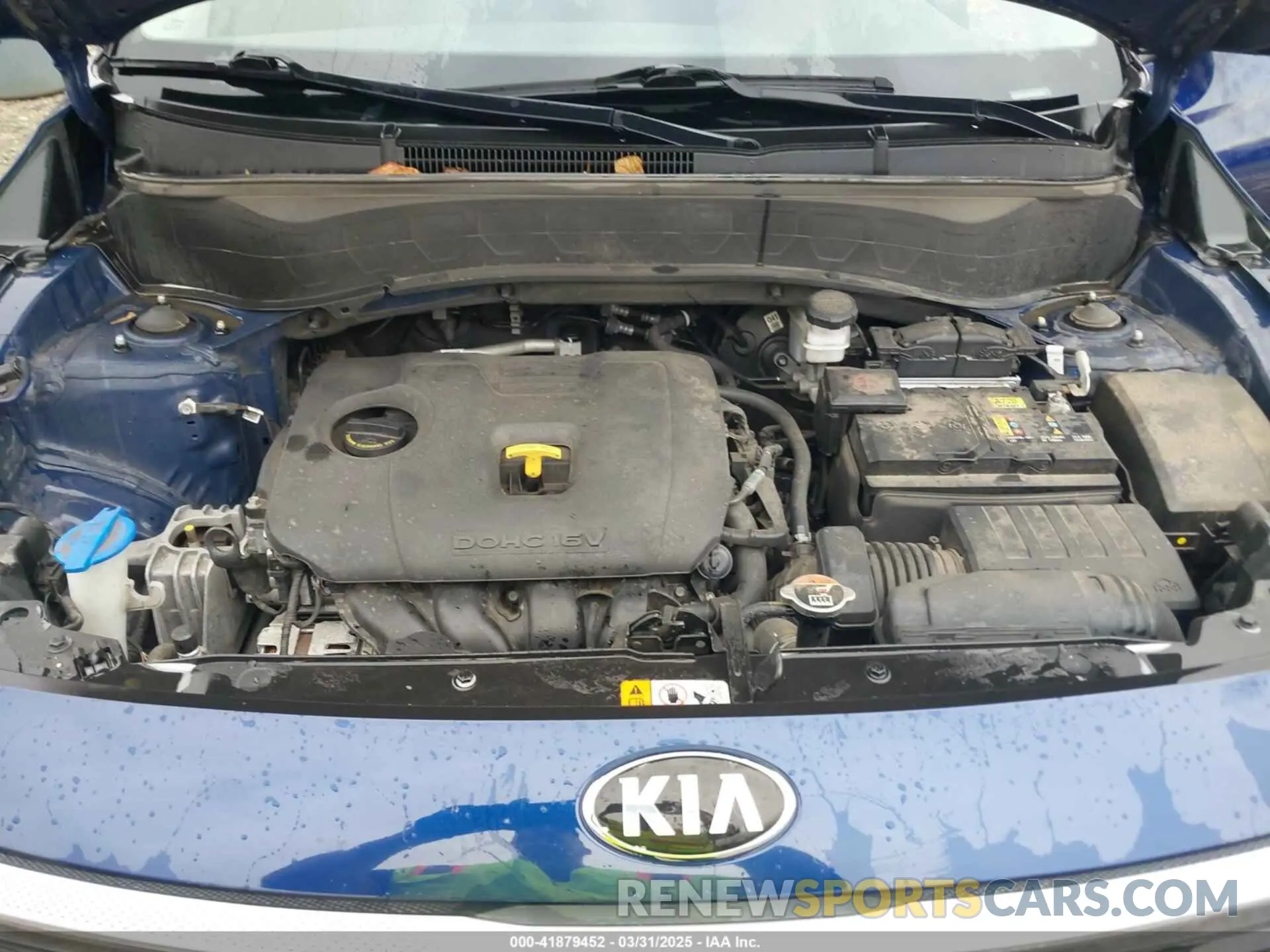 10 Photograph of a damaged car KNDEUCAA1M7088881 KIA SELTOS 2021