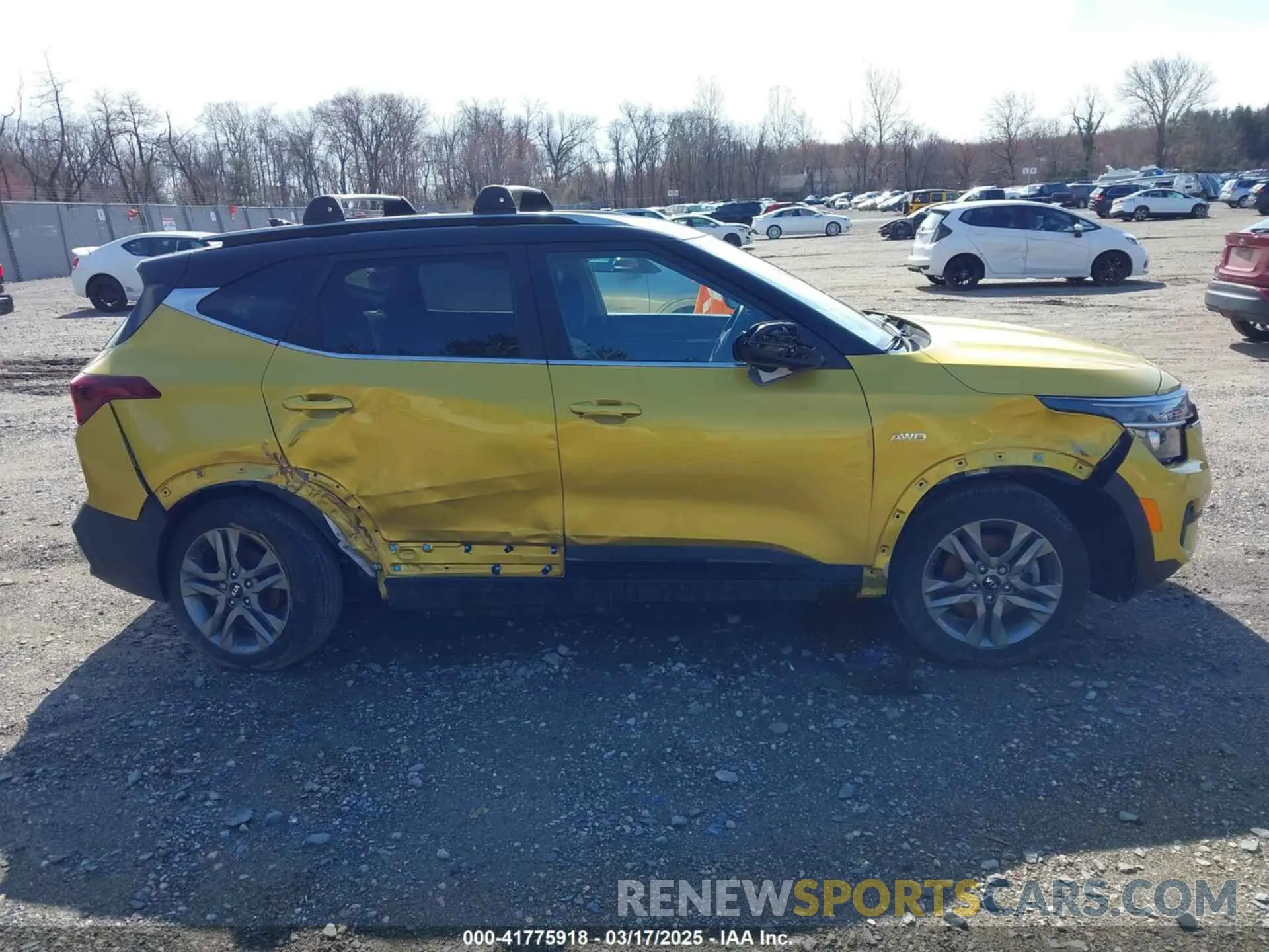 13 Photograph of a damaged car KNDEUCAA3M7168117 KIA SELTOS 2021