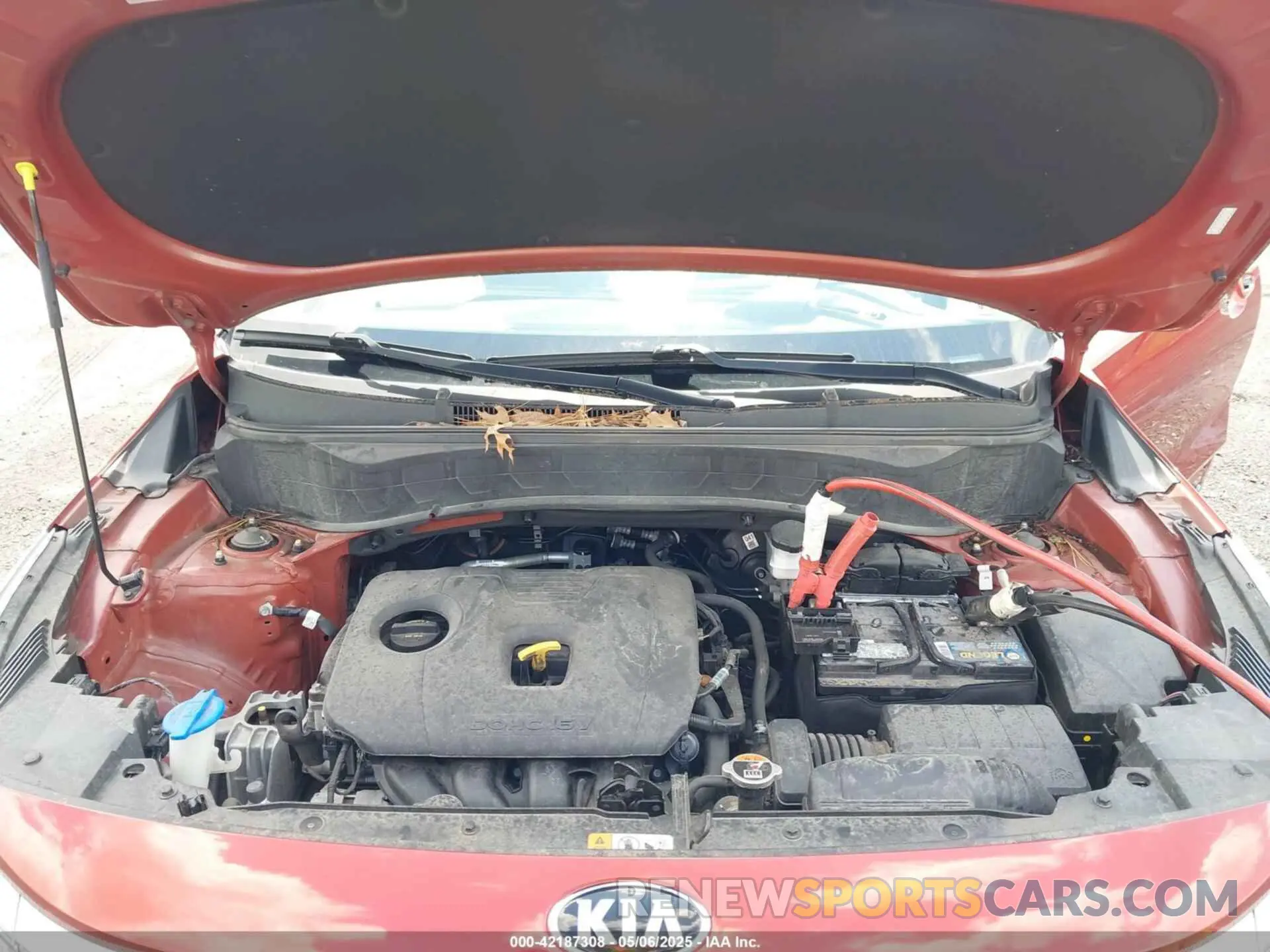 10 Photograph of a damaged car KNDEUCAA9M7074842 KIA SELTOS 2021