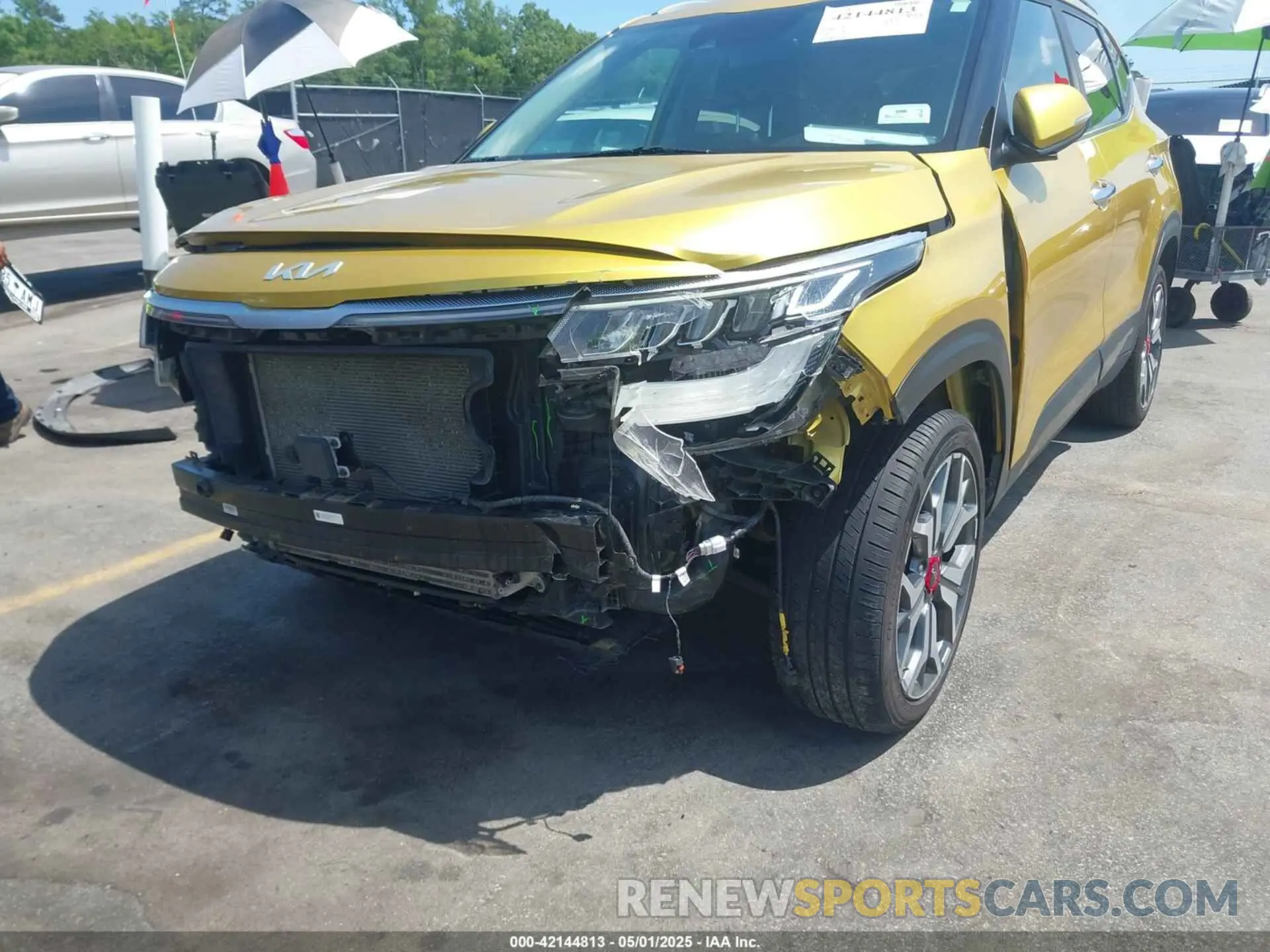 6 Photograph of a damaged car KNDETCA24N7277683 KIA SELTOS 2022