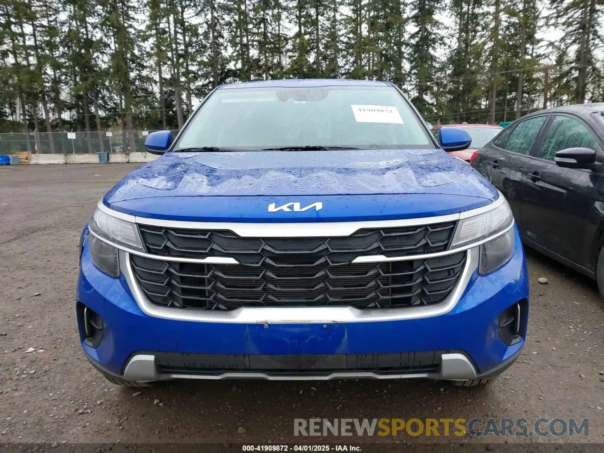 12 Photograph of a damaged car KNDEPCAA0R7648601 KIA SELTOS 2024