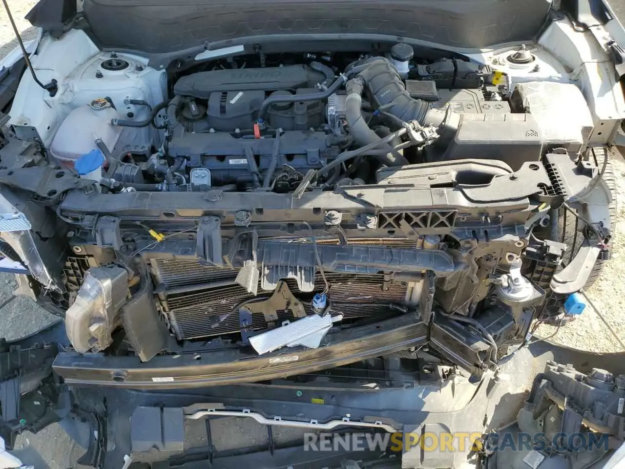 11 Photograph of a damaged car KNDETCA73R7478699 KIA SELTOS 2024