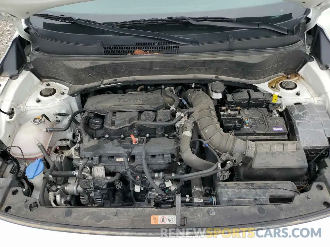 11 Photograph of a damaged car KNDETCA76R7508066 KIA SELTOS 2024