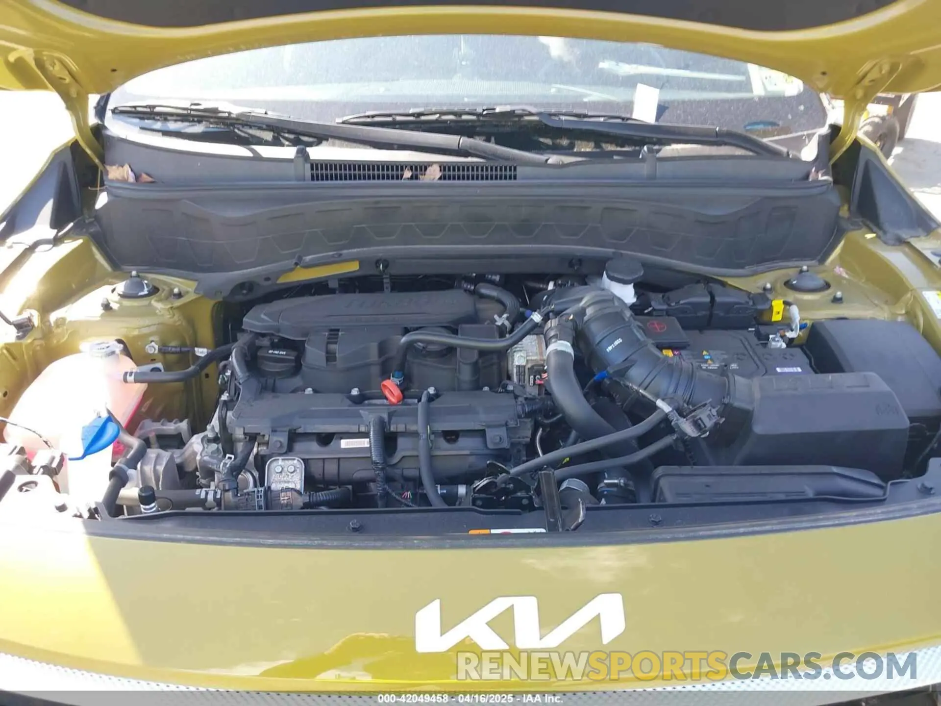 10 Photograph of a damaged car KNDETCA76R7544419 KIA SELTOS 2024
