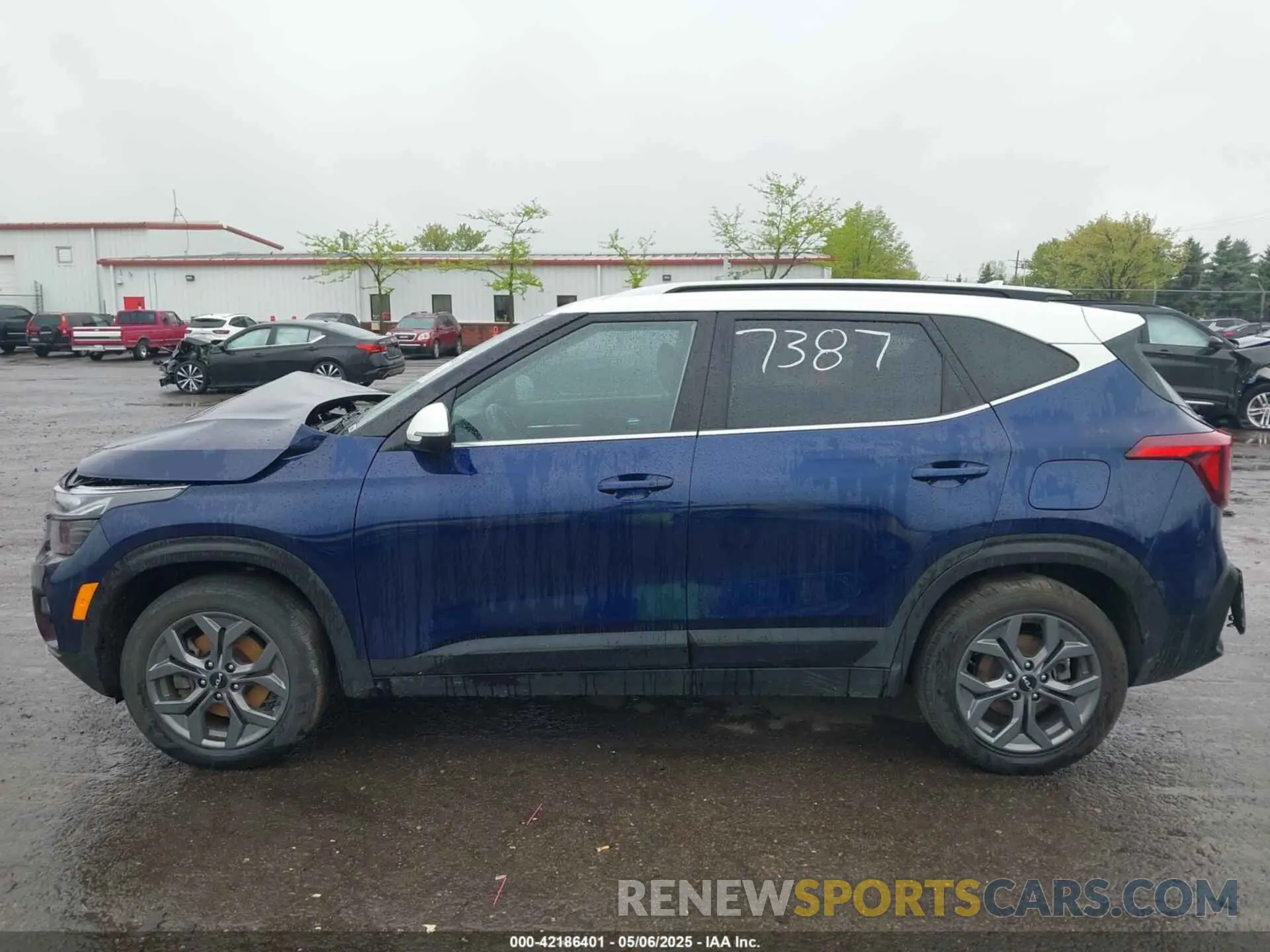 13 Photograph of a damaged car KNDEUCAA6R7487387 KIA SELTOS 2024