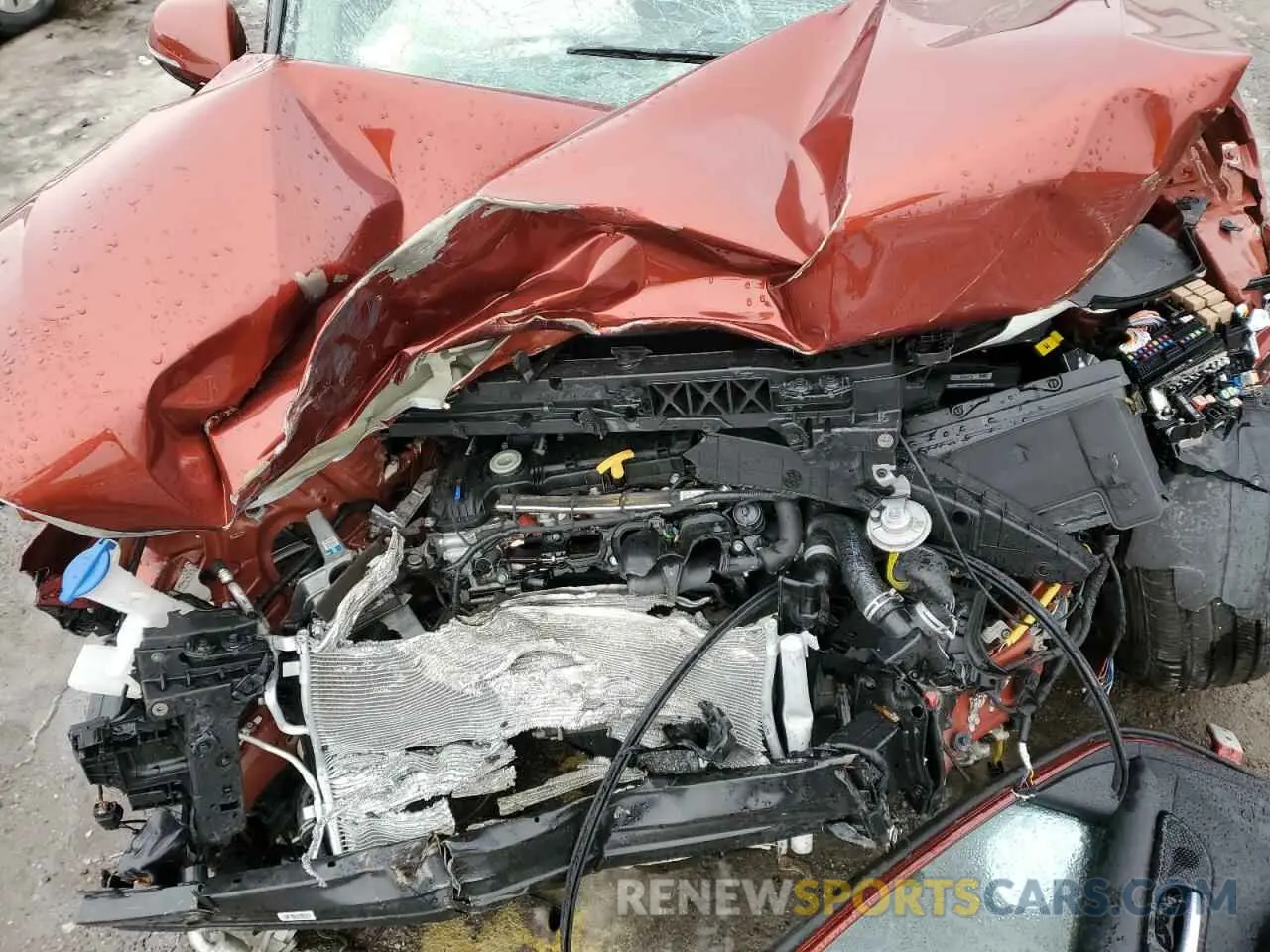 12 Photograph of a damaged car KNDEUCAA8R7544317 KIA SELTOS 2024
