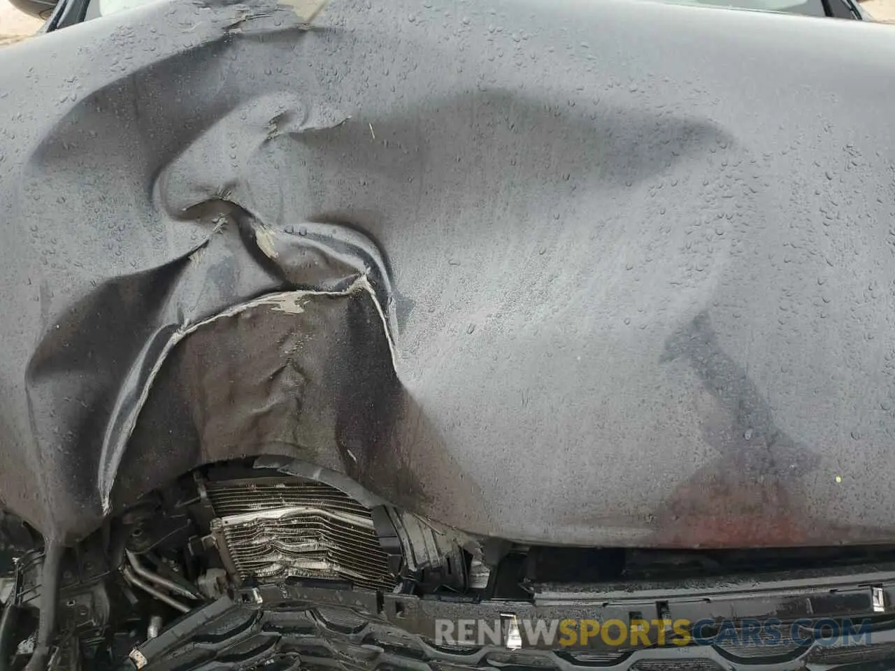 12 Photograph of a damaged car 5XYPG4A30KG457222 KIA SORENTO 2019