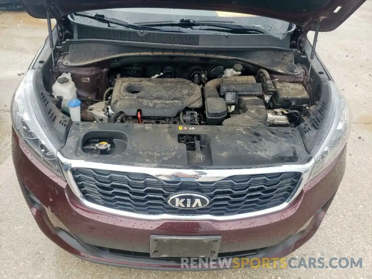11 Photograph of a damaged car 5XYPG4A32KG476077 KIA SORENTO 2019