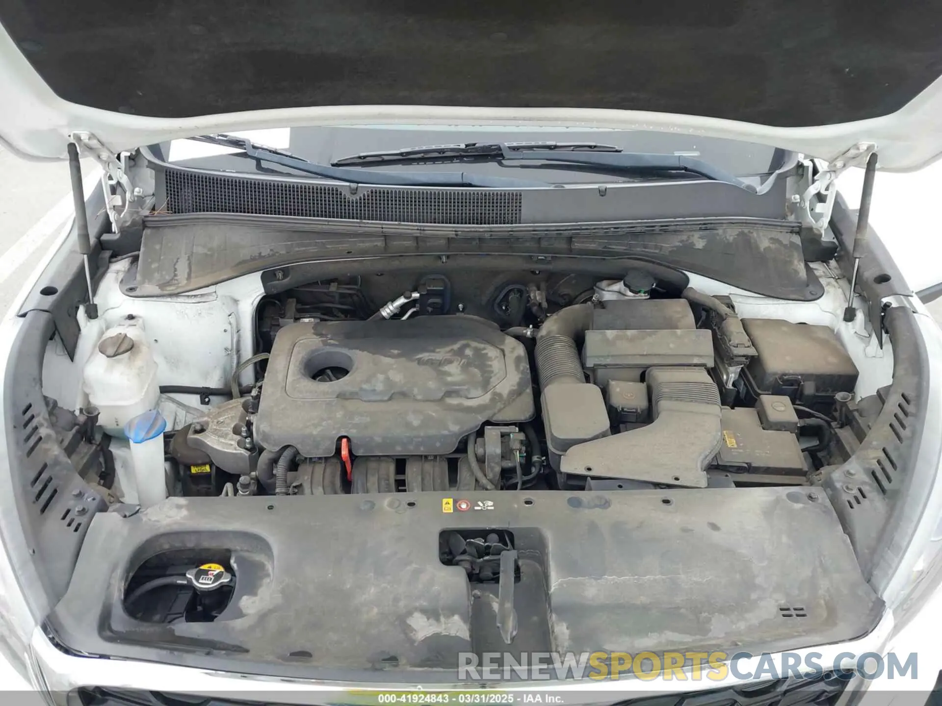 10 Photograph of a damaged car 5XYPG4A34KG465212 KIA SORENTO 2019