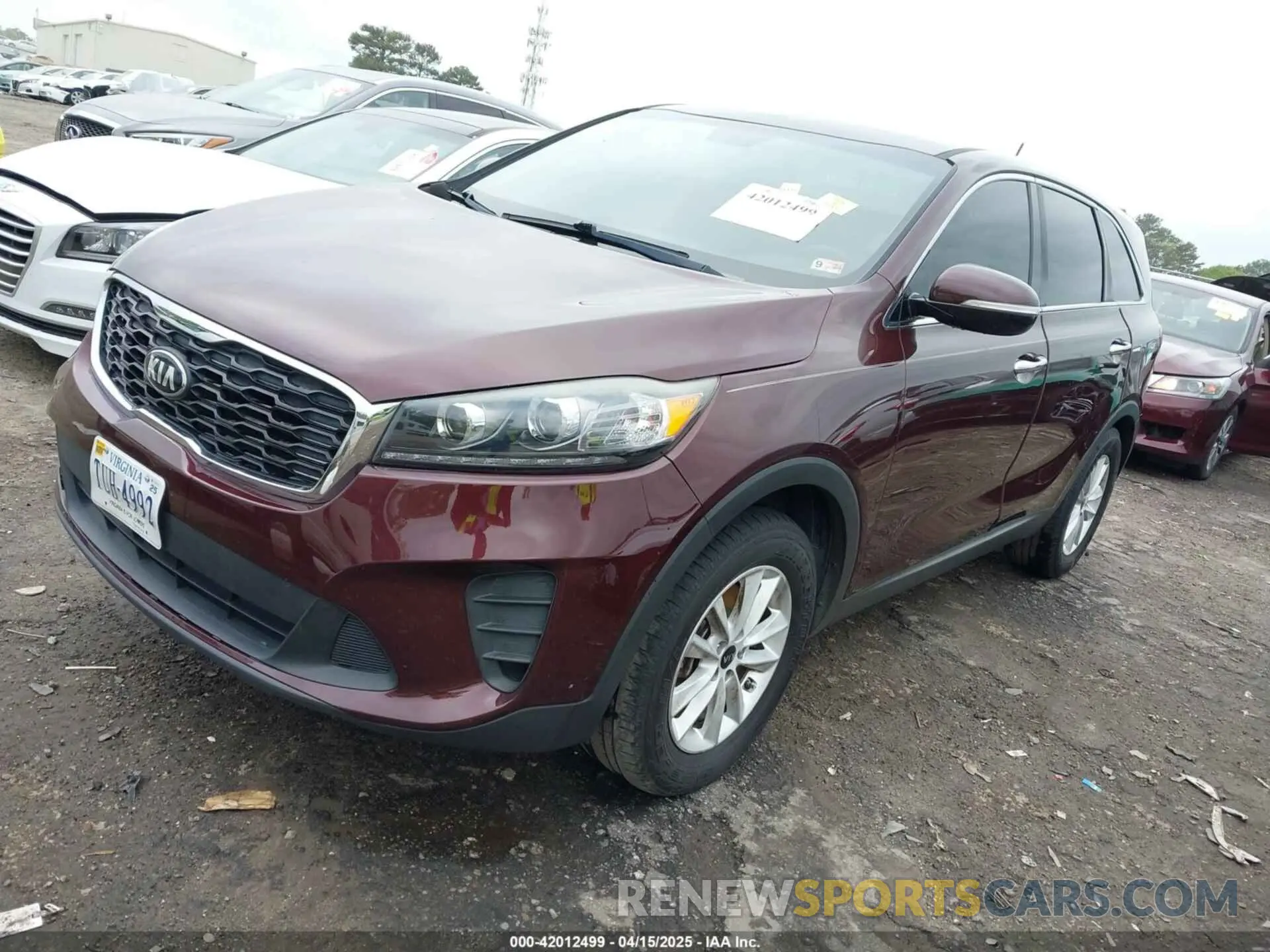 2 Photograph of a damaged car 5XYPG4A34KG510570 KIA SORENTO 2019