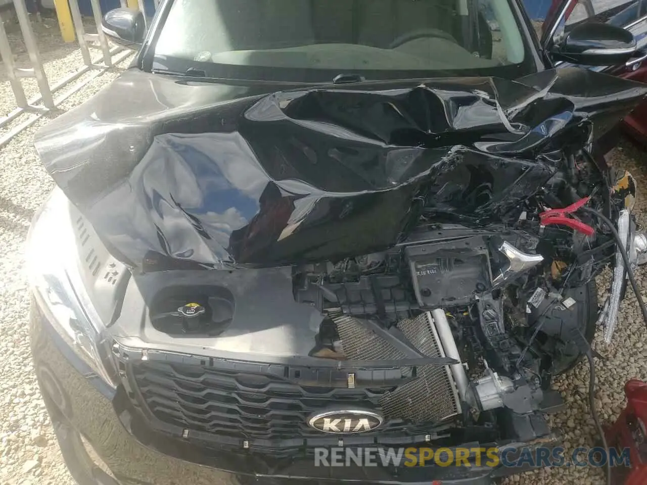 12 Photograph of a damaged car 5XYPG4A35KG533470 KIA SORENTO 2019