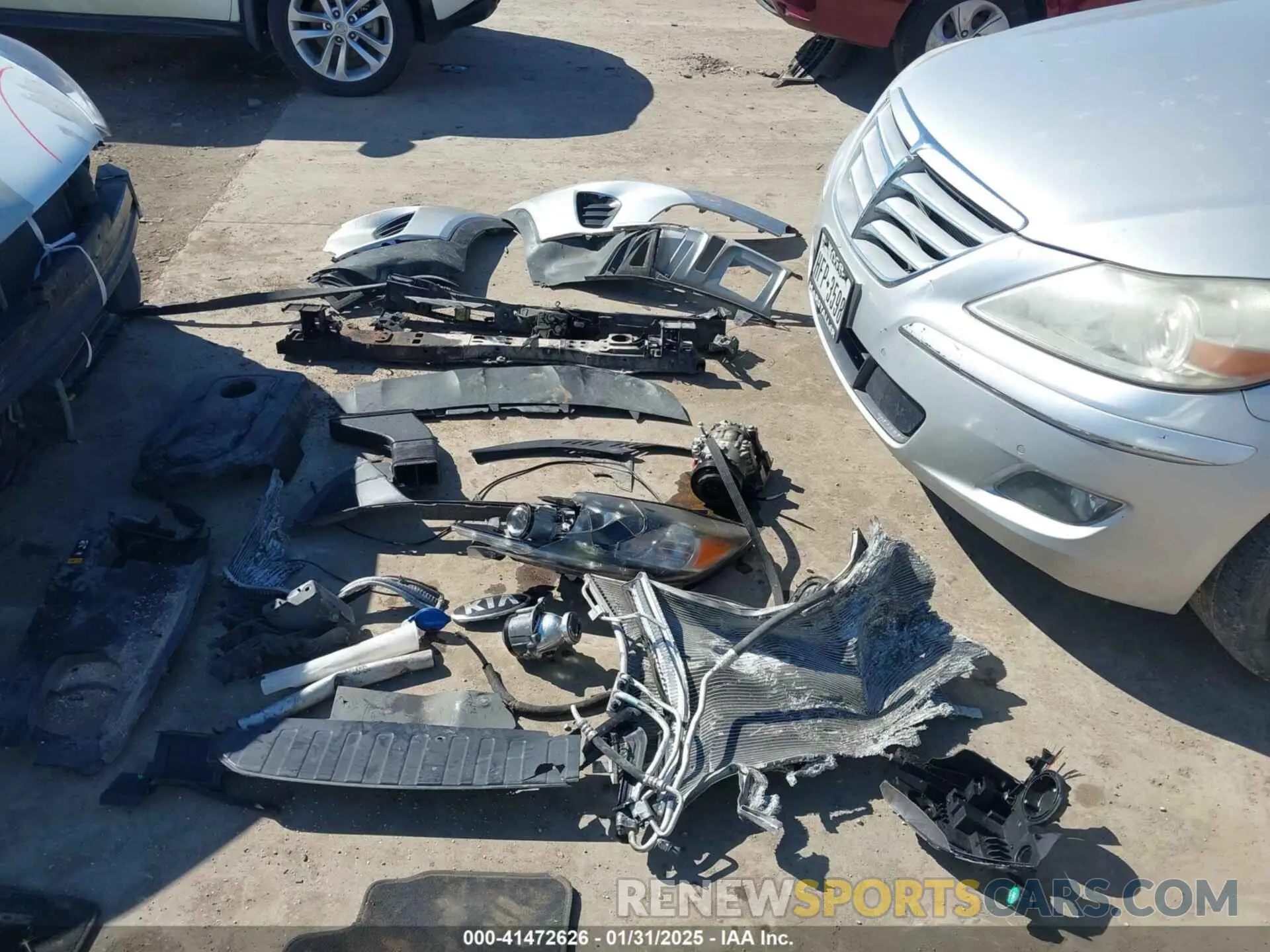 12 Photograph of a damaged car 5XYPG4A36KG579616 KIA SORENTO 2019