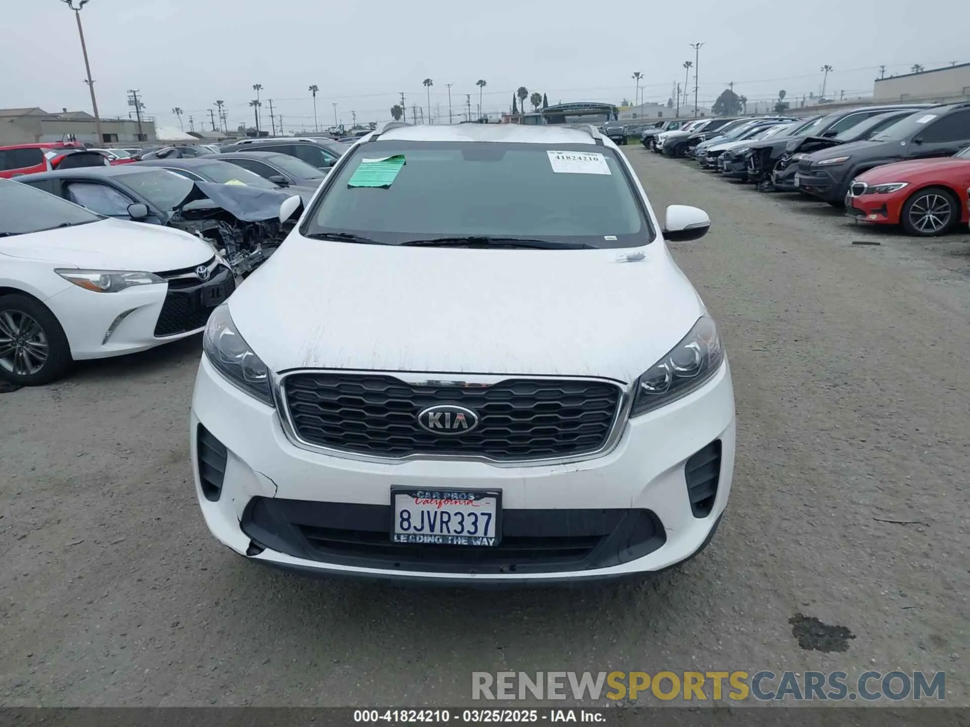 12 Photograph of a damaged car 5XYPG4A37KG524608 KIA SORENTO 2019