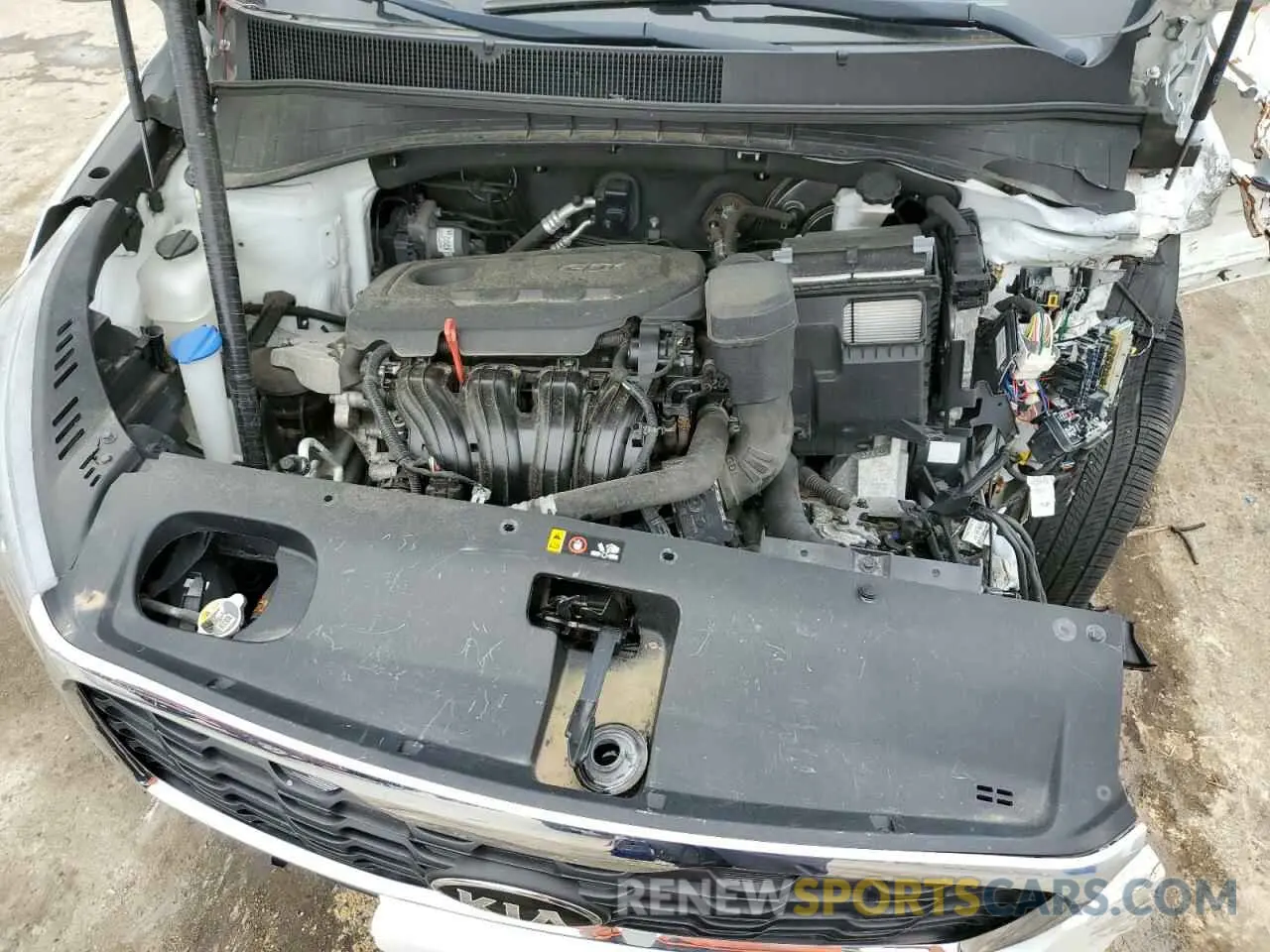 12 Photograph of a damaged car 5XYPG4A37KG531610 KIA SORENTO 2019
