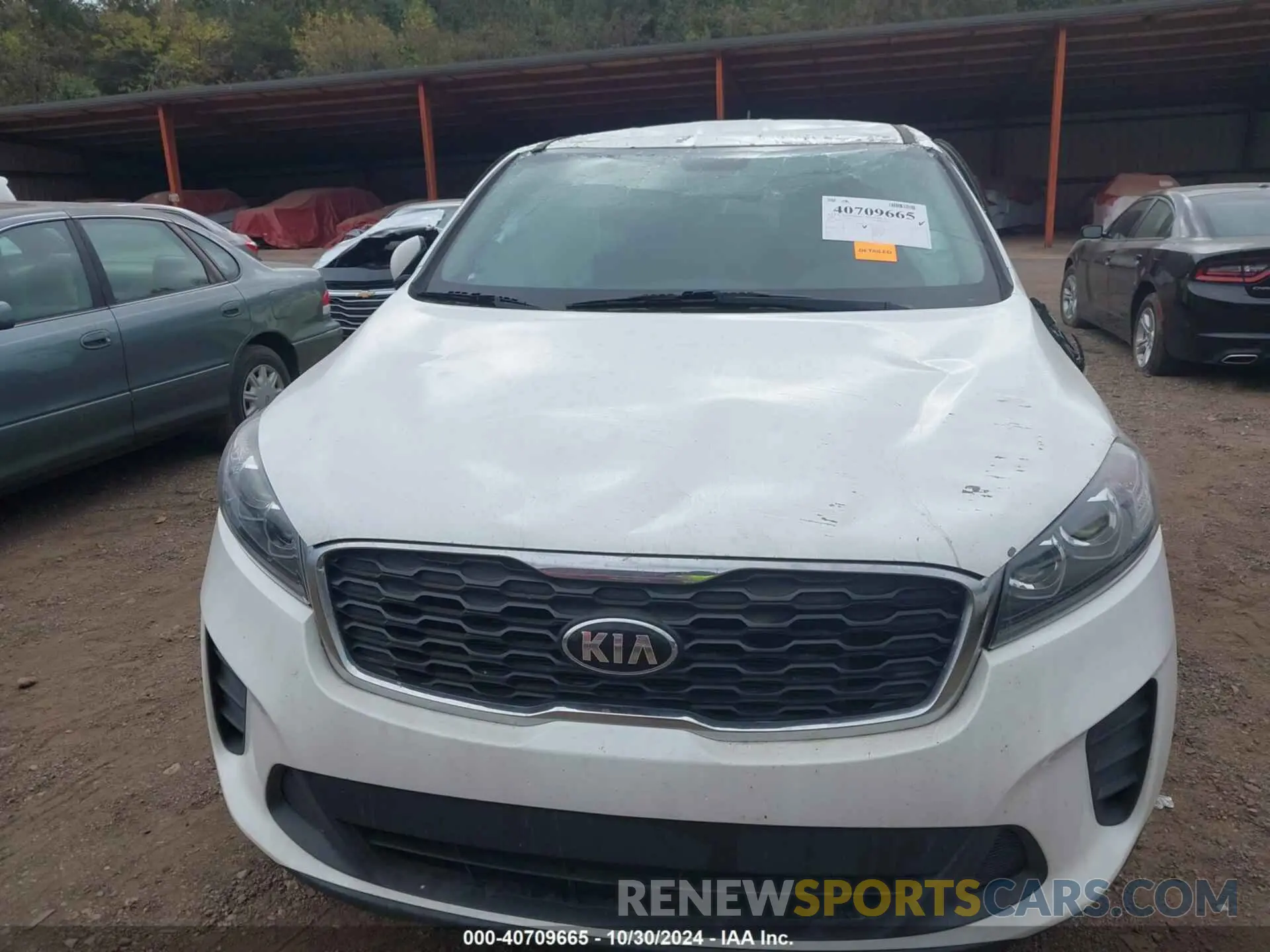12 Photograph of a damaged car 5XYPG4A38KG521572 KIA SORENTO 2019