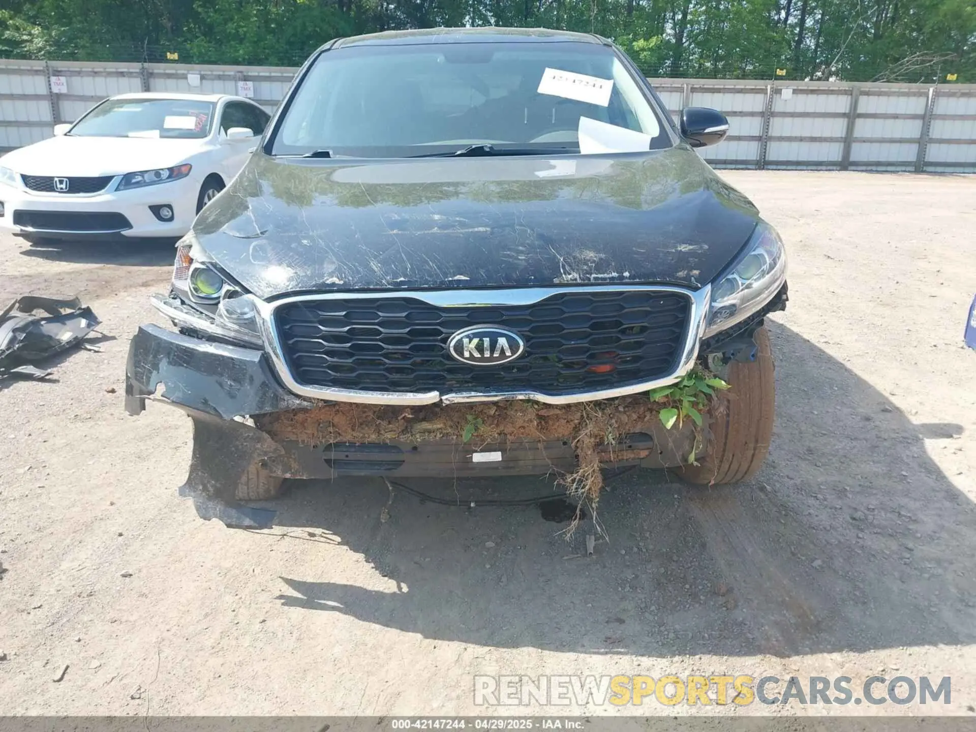 13 Photograph of a damaged car 5XYPG4A39KG576239 KIA SORENTO 2019