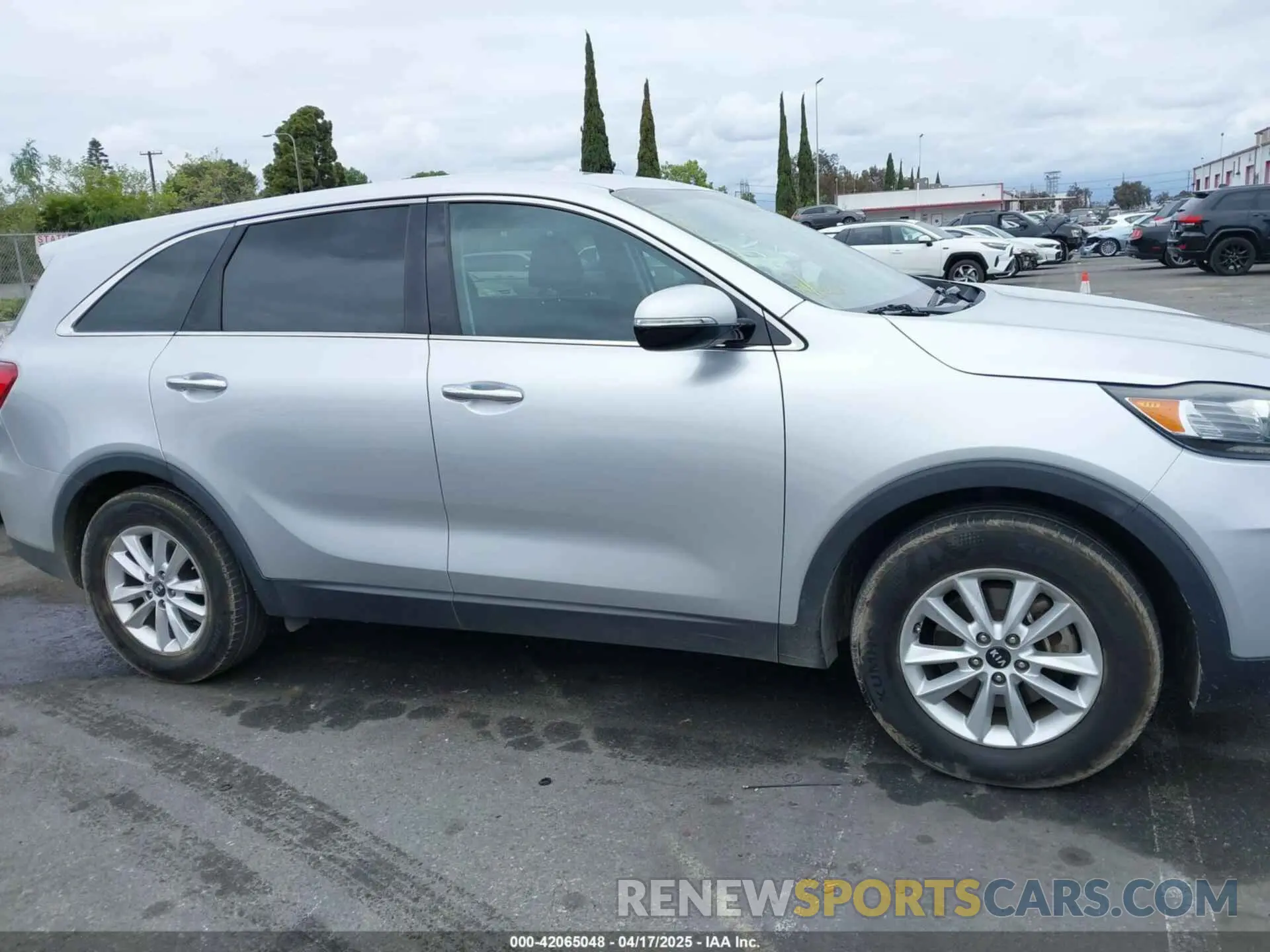 12 Photograph of a damaged car 5XYPG4A39KG580369 KIA SORENTO 2019