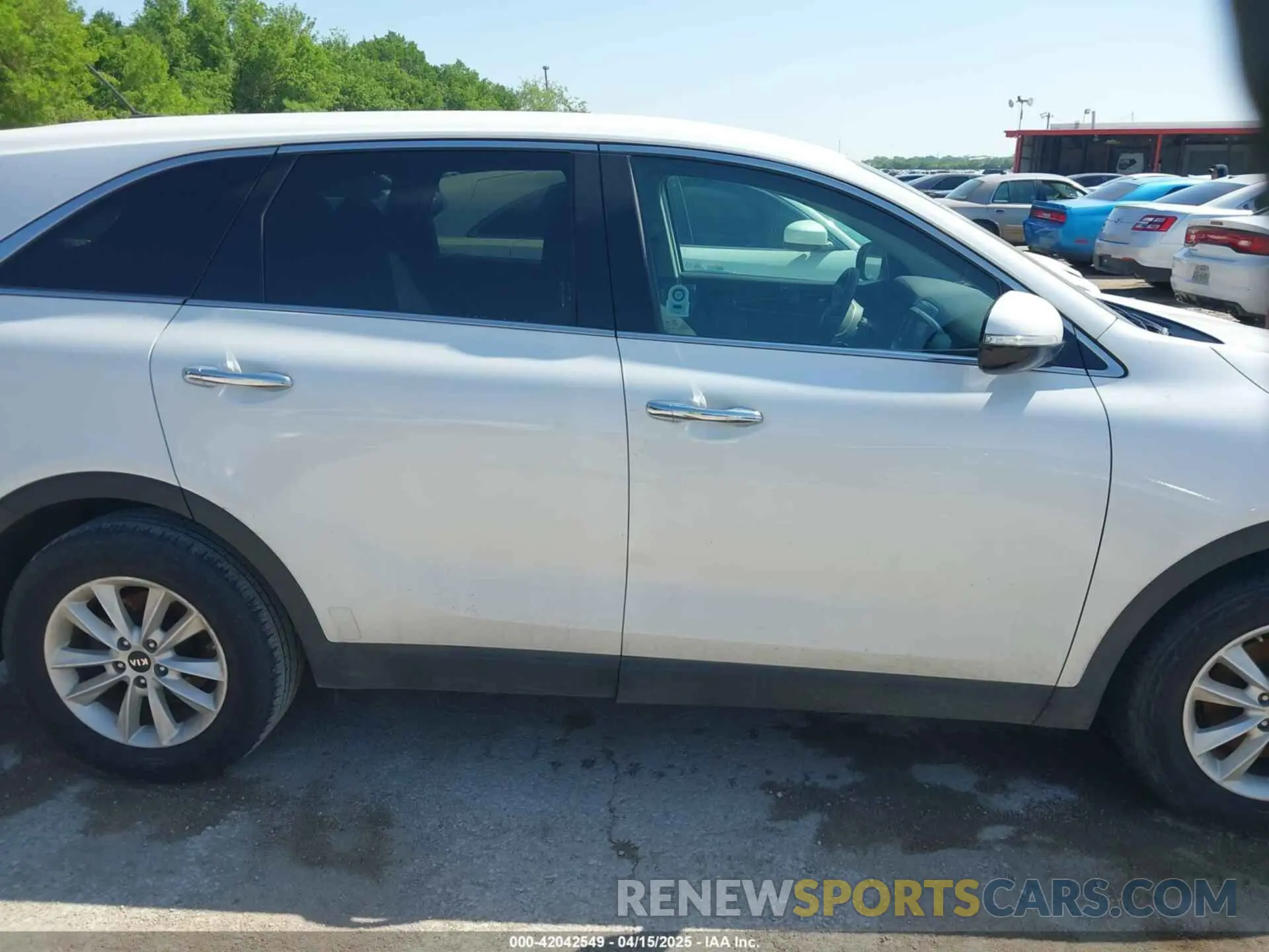 13 Photograph of a damaged car 5XYPG4A50KG565227 KIA SORENTO 2019