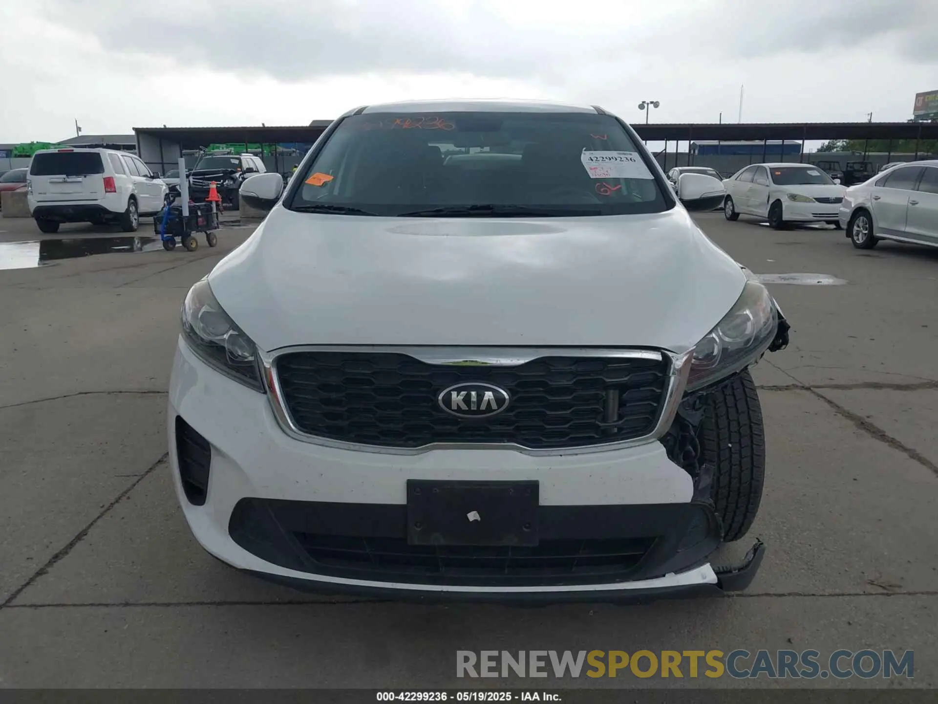 12 Photograph of a damaged car 5XYPG4A50KG573036 KIA SORENTO 2019