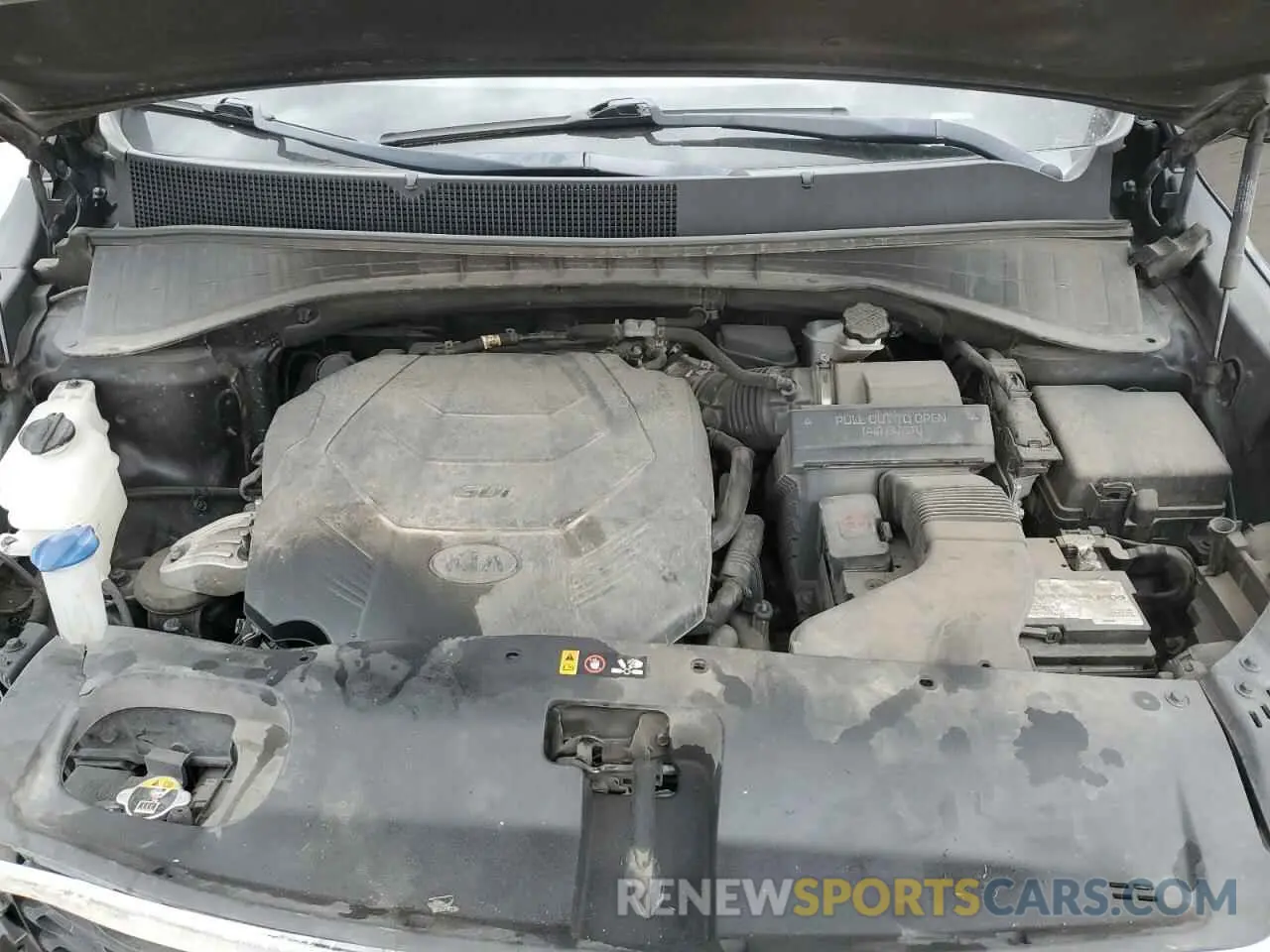 12 Photograph of a damaged car 5XYPG4A51KG568640 KIA SORENTO 2019