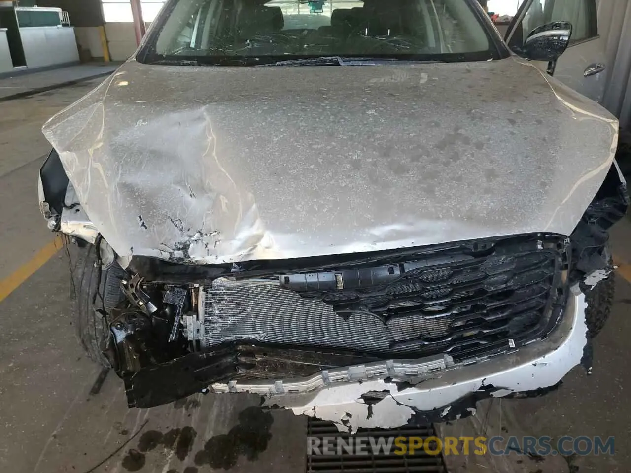 14 Photograph of a damaged car 5XYPG4A54KG480732 KIA SORENTO 2019