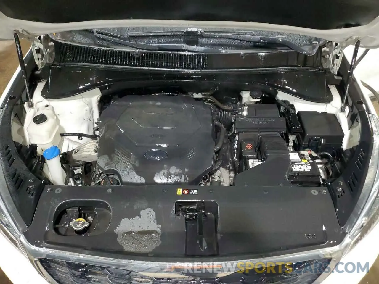 12 Photograph of a damaged car 5XYPG4A54KG509565 KIA SORENTO 2019