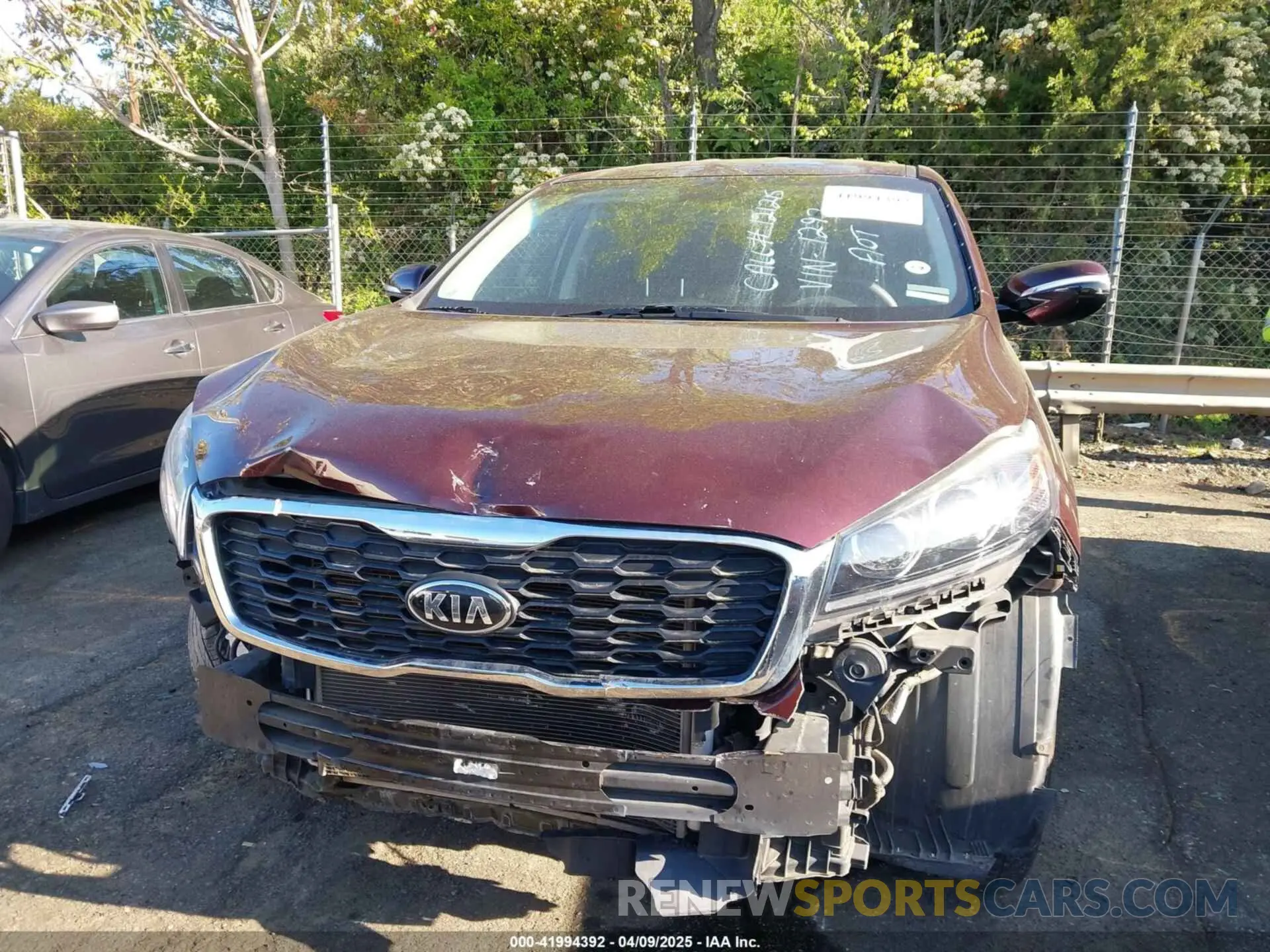 12 Photograph of a damaged car 5XYPG4A56KG481297 KIA SORENTO 2019