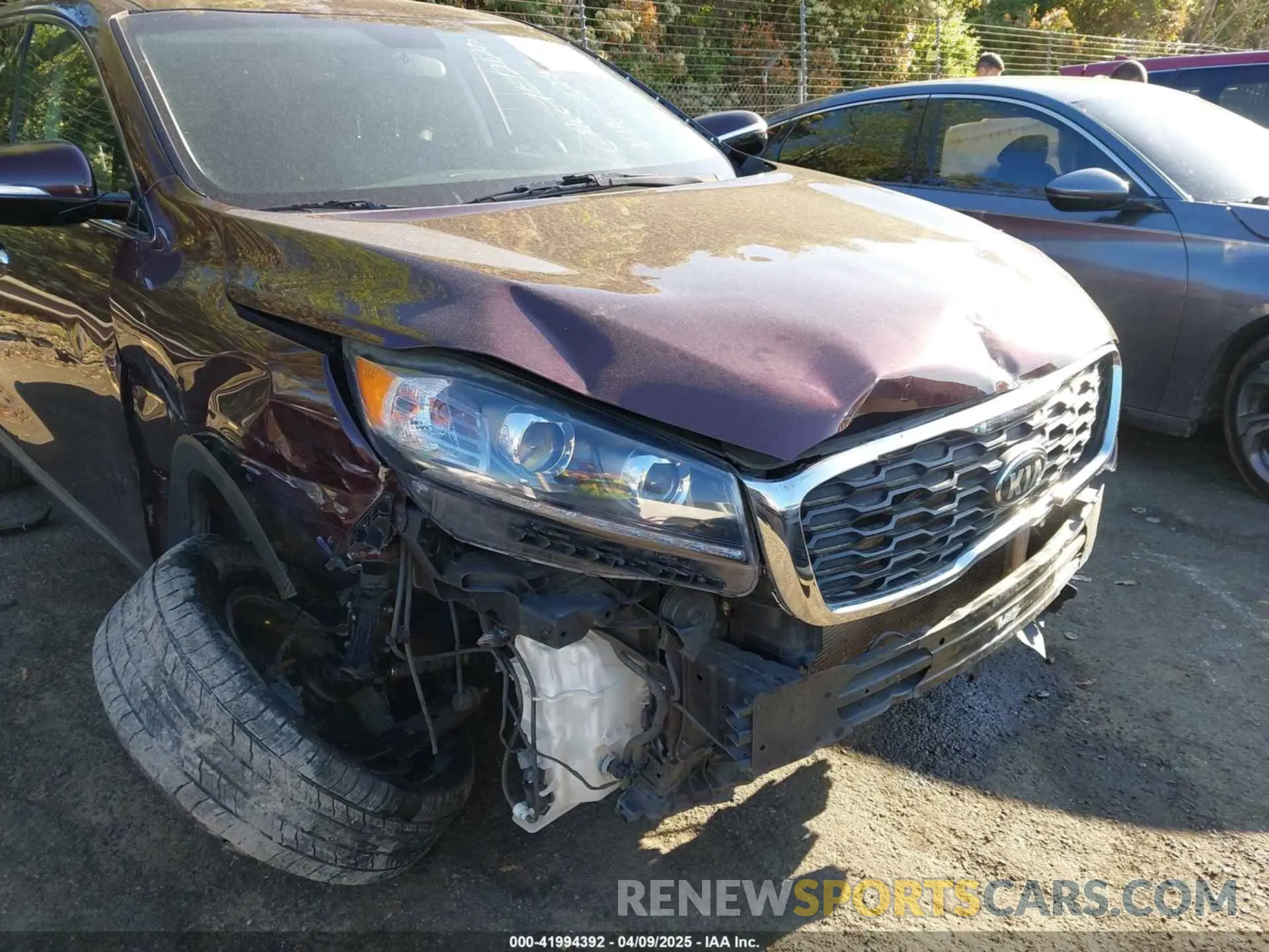 6 Photograph of a damaged car 5XYPG4A56KG481297 KIA SORENTO 2019