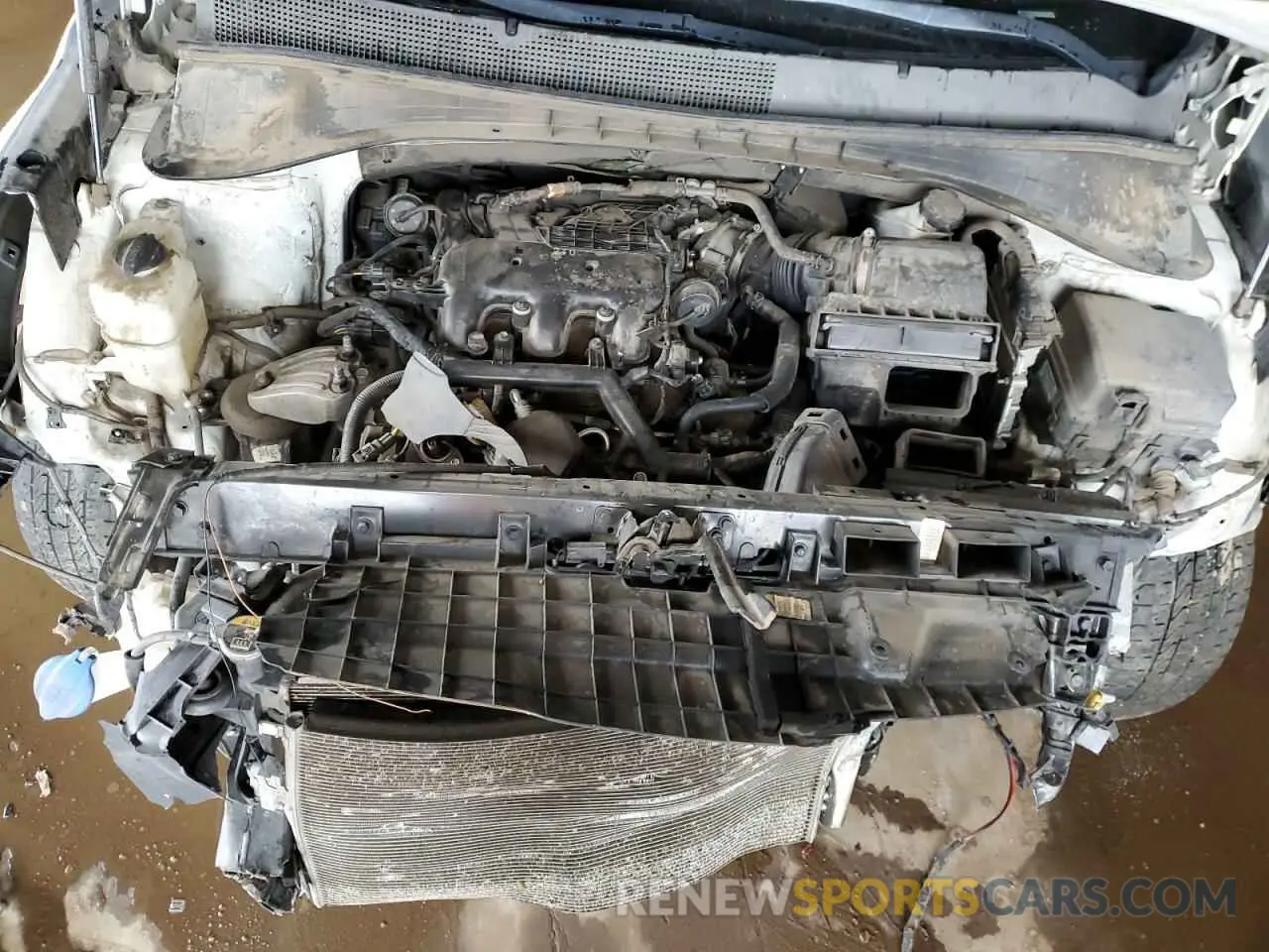 13 Photograph of a damaged car 5XYPG4A56KG481879 KIA SORENTO 2019