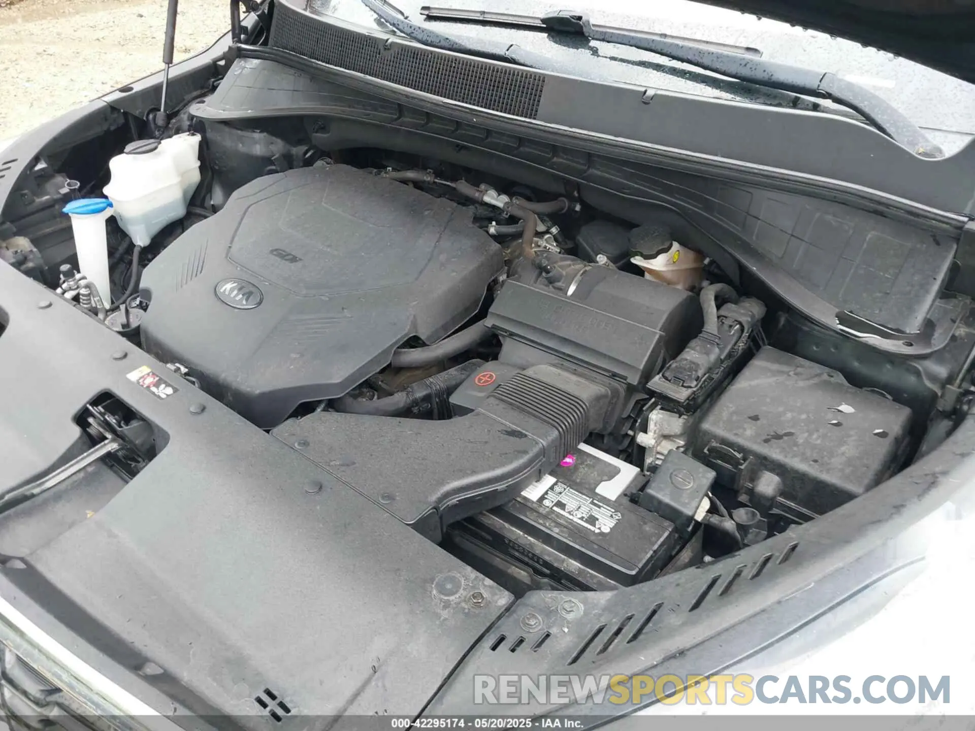 10 Photograph of a damaged car 5XYPG4A58KG487814 KIA SORENTO 2019