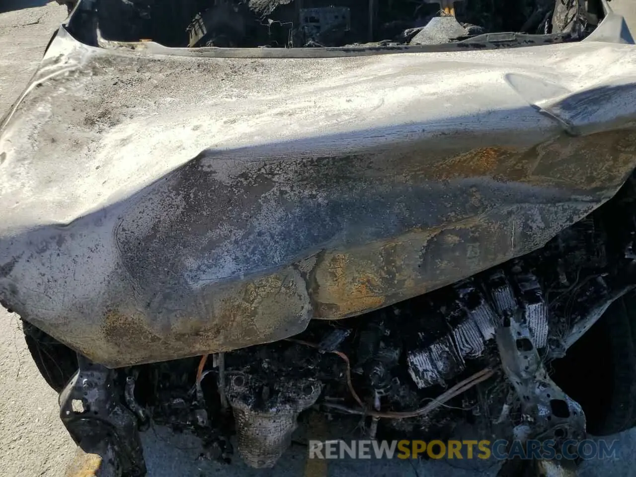 12 Photograph of a damaged car 5XYPG4A5XKG490455 KIA SORENTO 2019