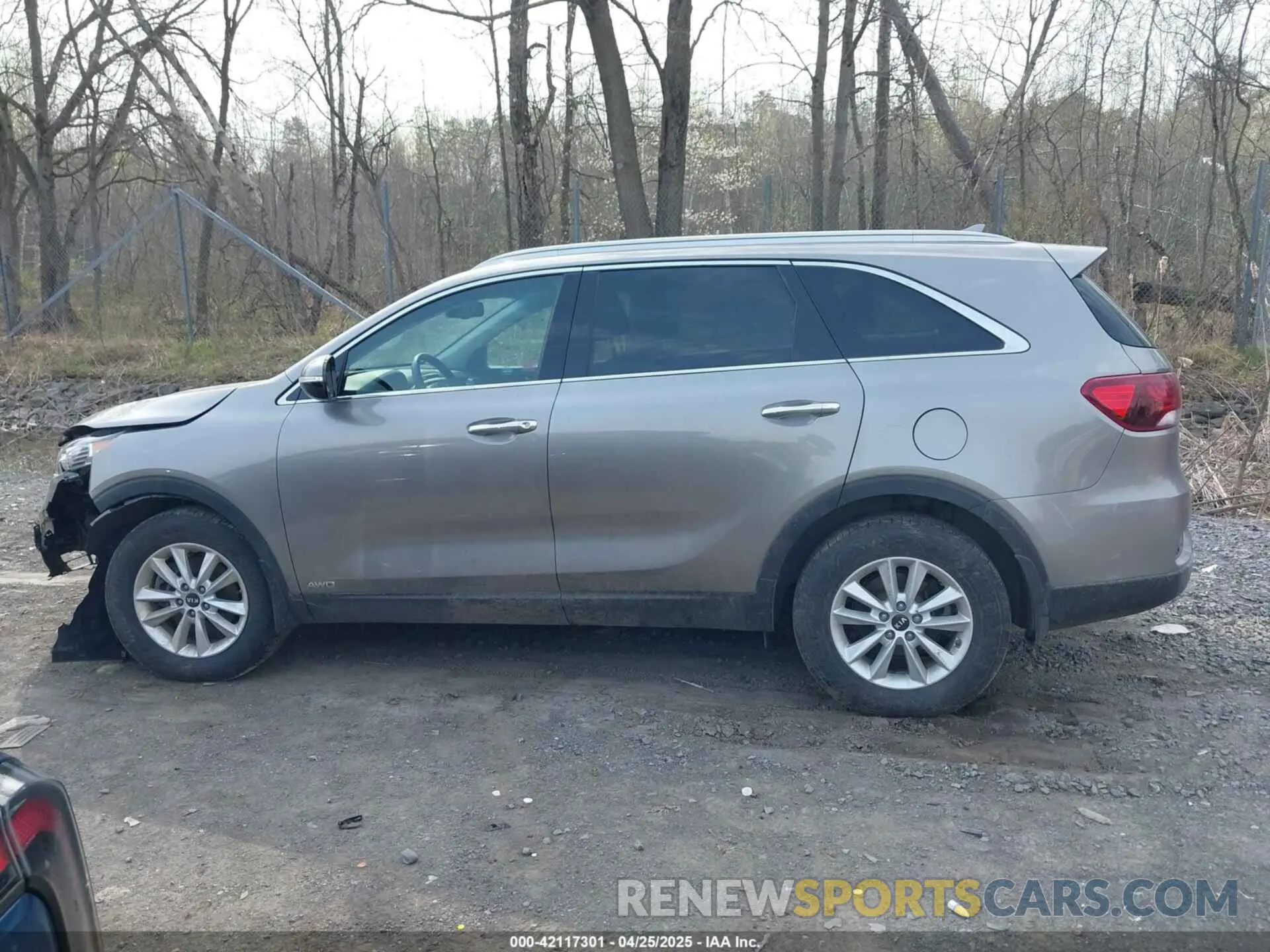 14 Photograph of a damaged car 5XYPGDA30KG555943 KIA SORENTO 2019