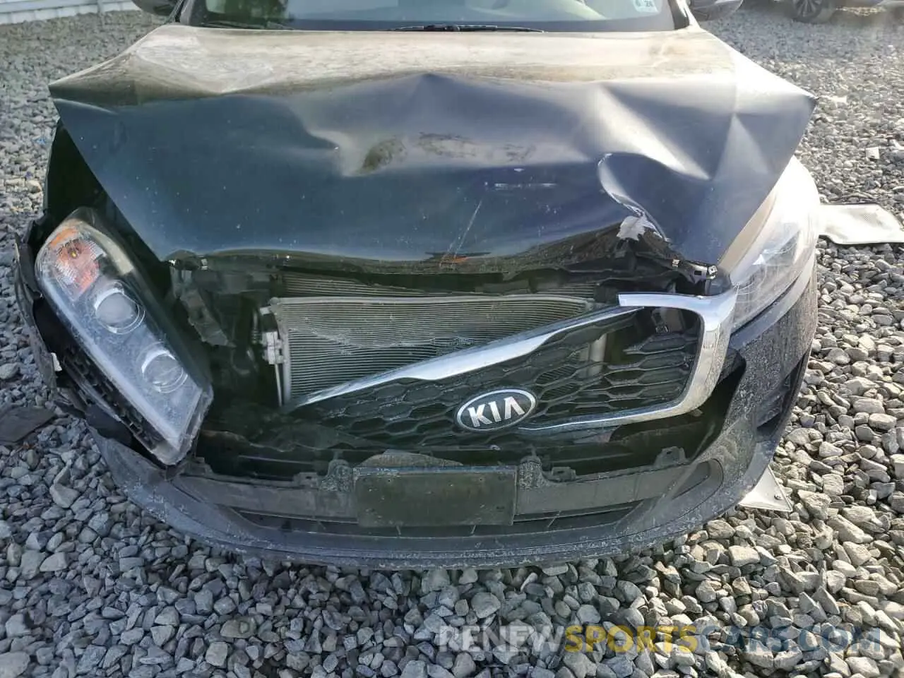 14 Photograph of a damaged car 5XYPGDA34KG575242 KIA SORENTO 2019
