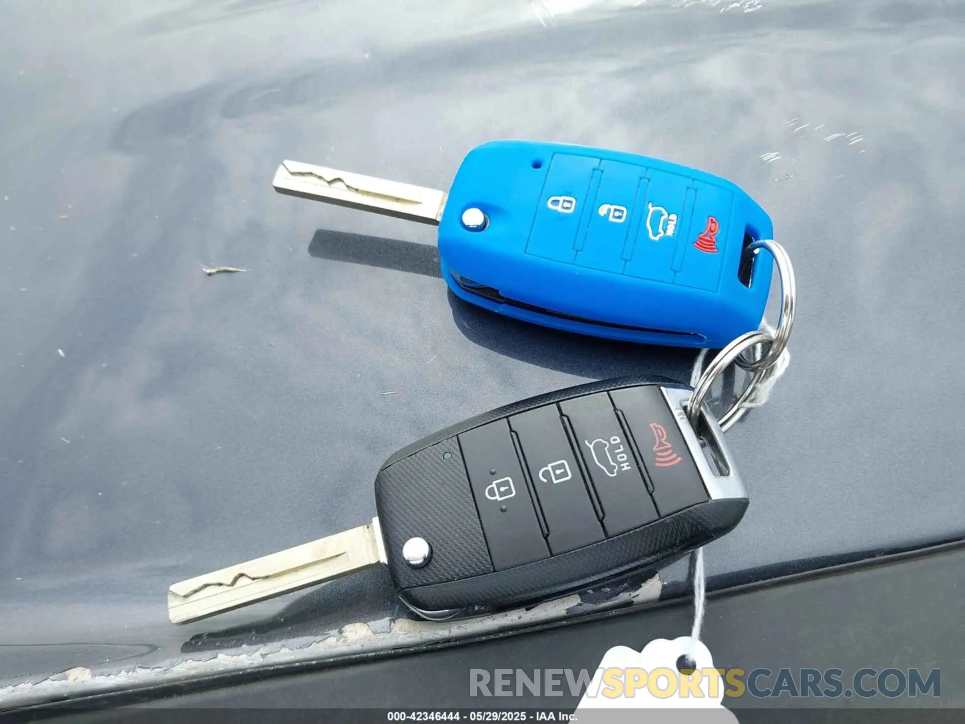 11 Photograph of a damaged car 5XYPGDA51KG522810 KIA SORENTO 2019
