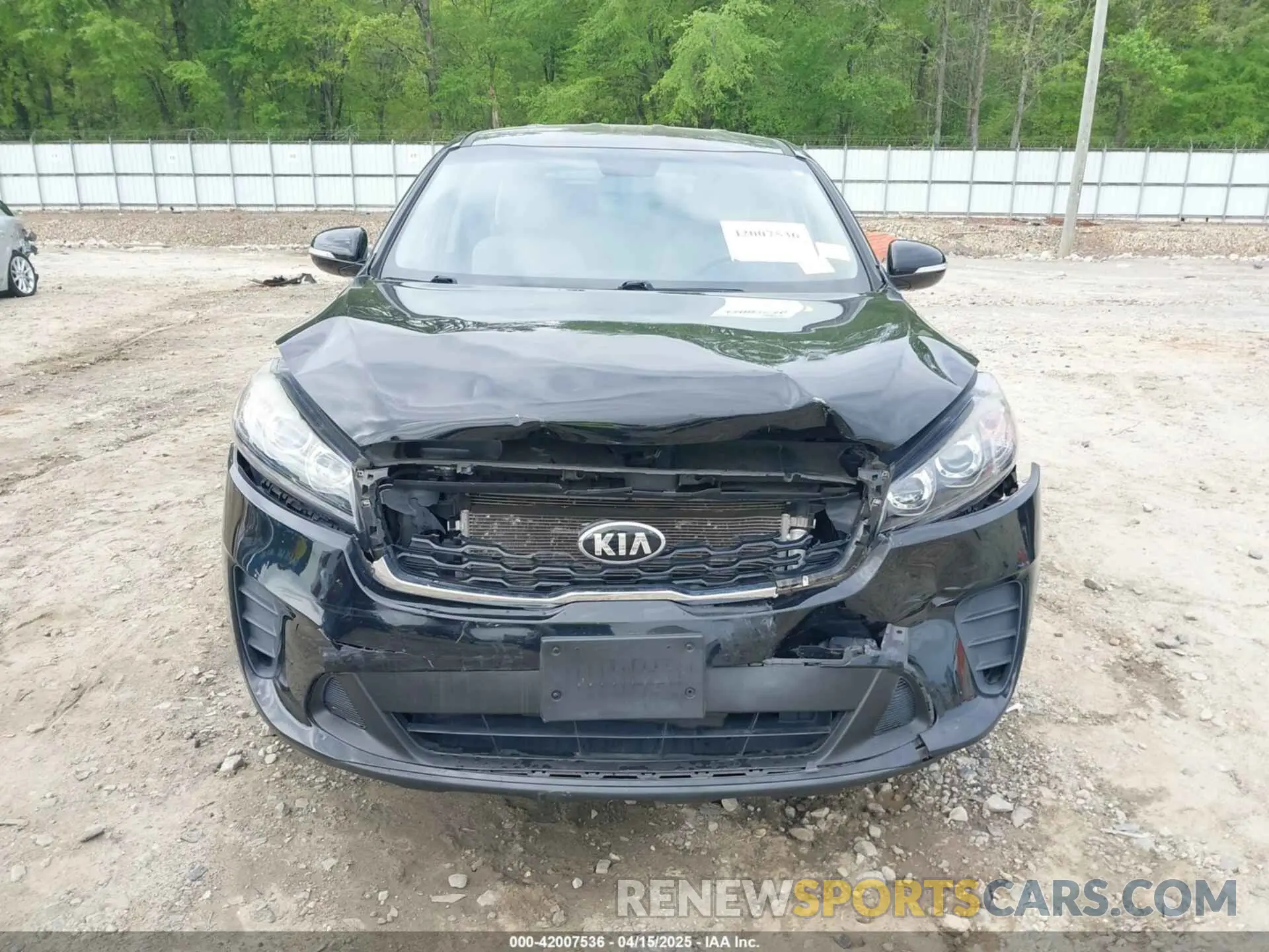 12 Photograph of a damaged car 5XYPGDA55KG487091 KIA SORENTO 2019