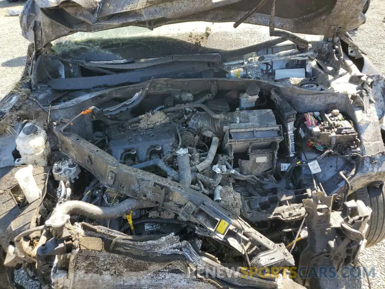 12 Photograph of a damaged car 5XYPGDA59KG450531 KIA SORENTO 2019