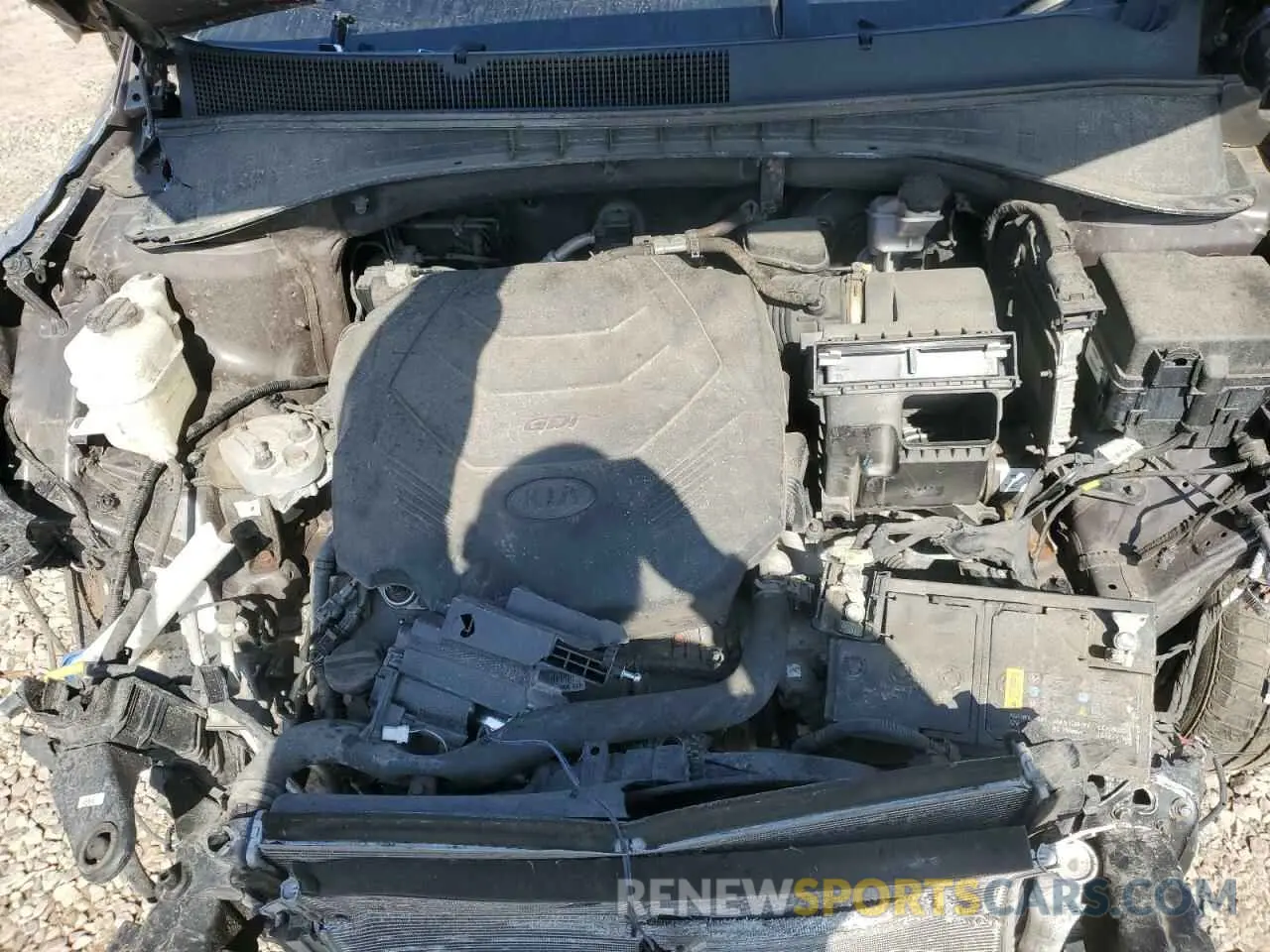 12 Photograph of a damaged car 5XYPHDA59KG448467 KIA SORENTO 2019