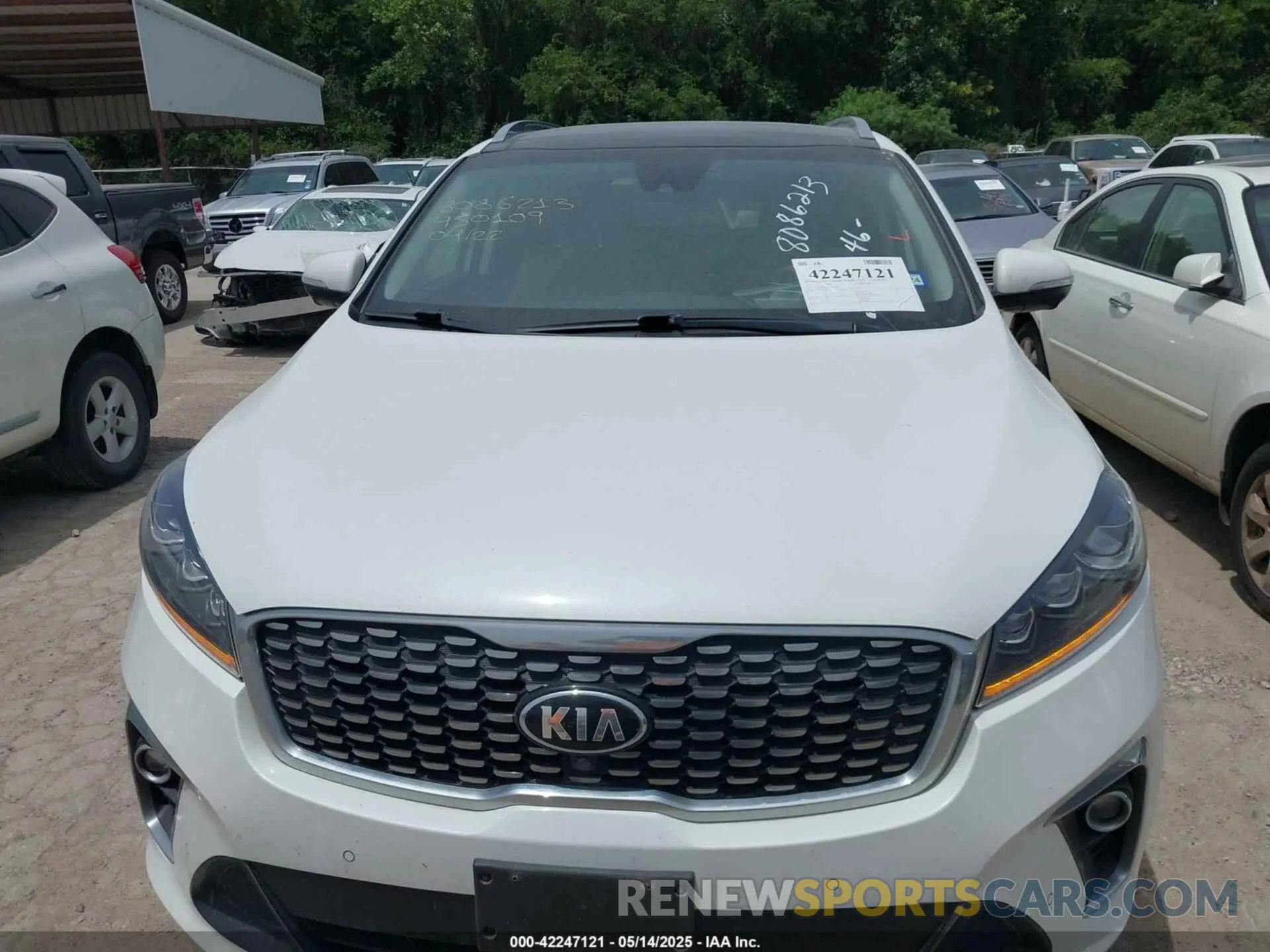 12 Photograph of a damaged car 5XYPK4A52KG450109 KIA SORENTO 2019