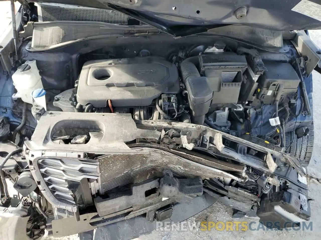 12 Photograph of a damaged car 5XYPG4A35LG637703 KIA SORENTO 2020