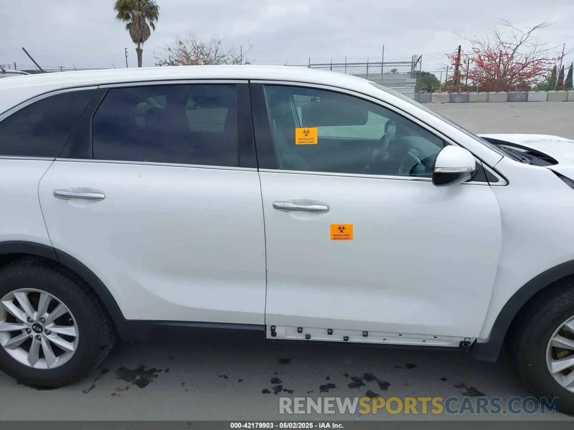 13 Photograph of a damaged car 5XYPG4A37LG628002 KIA SORENTO 2020
