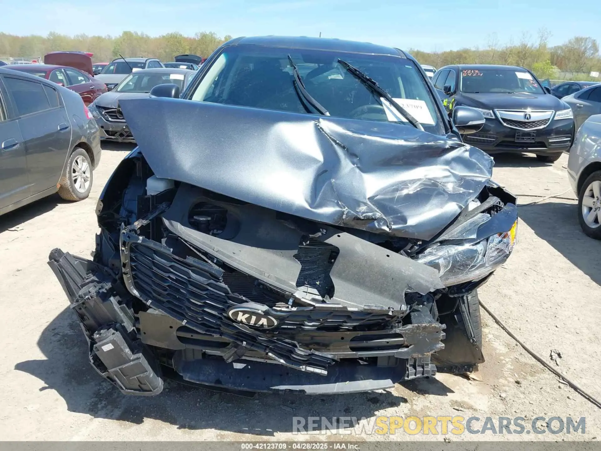 6 Photograph of a damaged car 5XYPG4A39LG681123 KIA SORENTO 2020