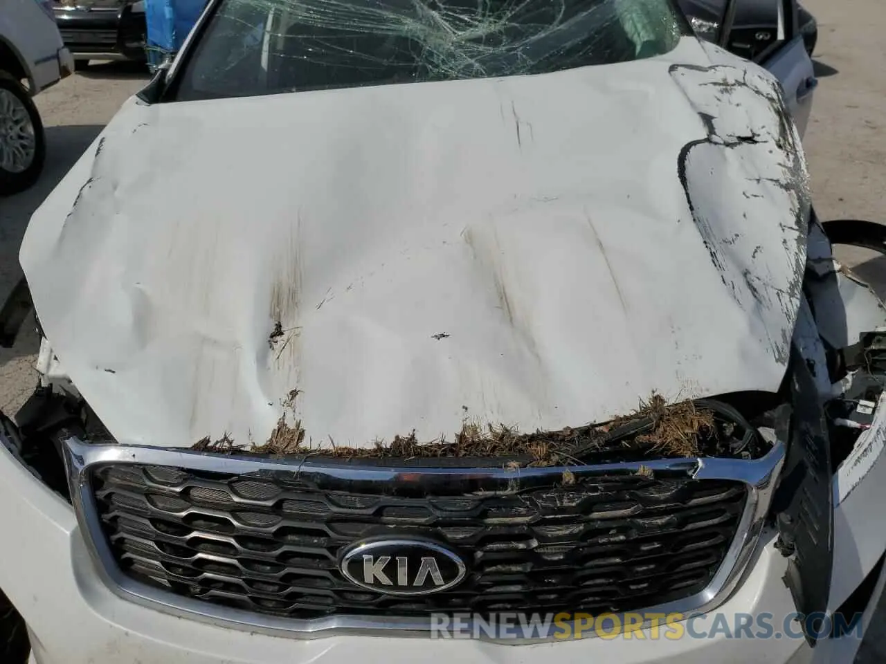 14 Photograph of a damaged car 5XYPG4A3XLG634263 KIA SORENTO 2020