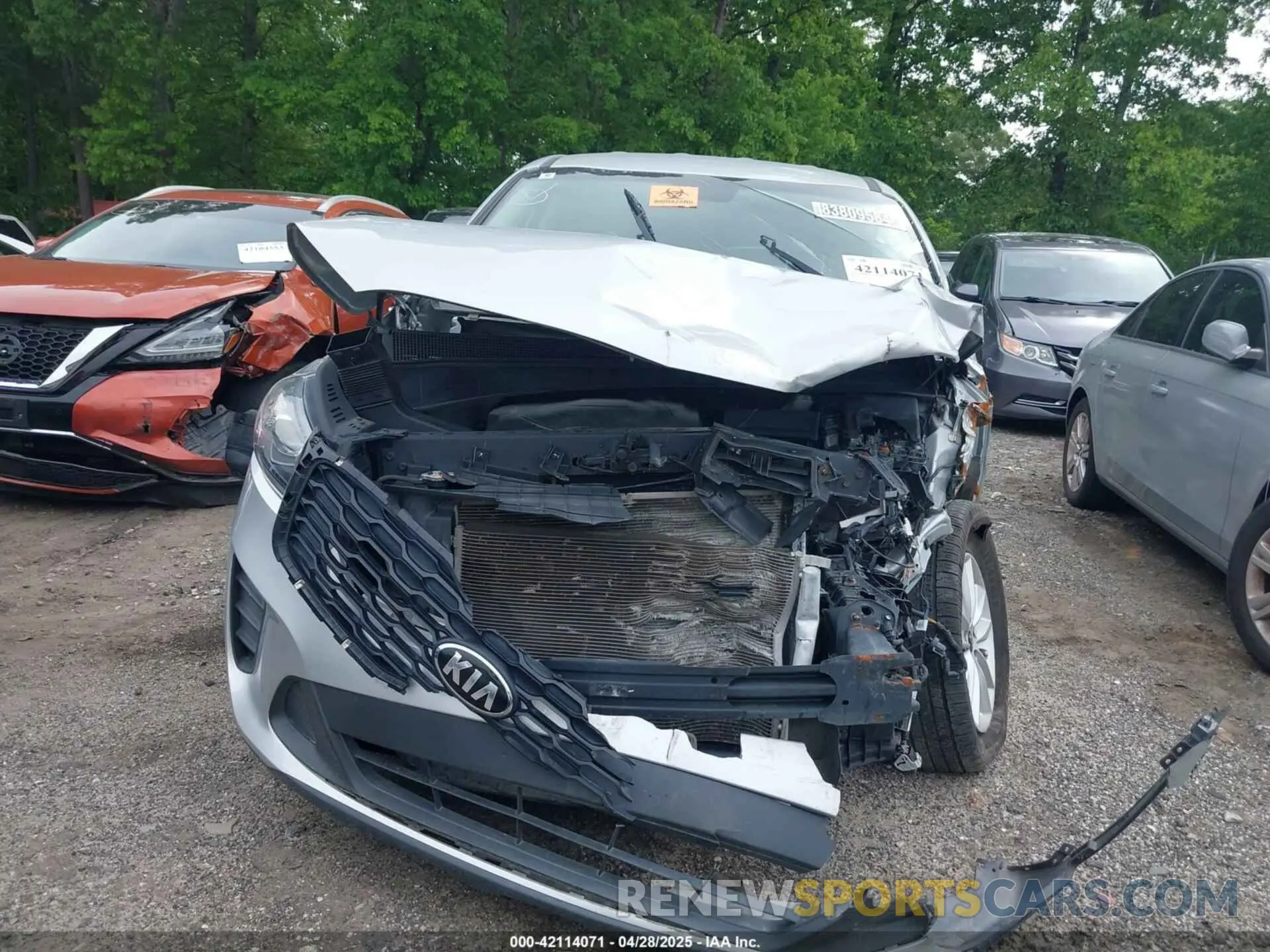 12 Photograph of a damaged car 5XYPG4A53LG645364 KIA SORENTO 2020