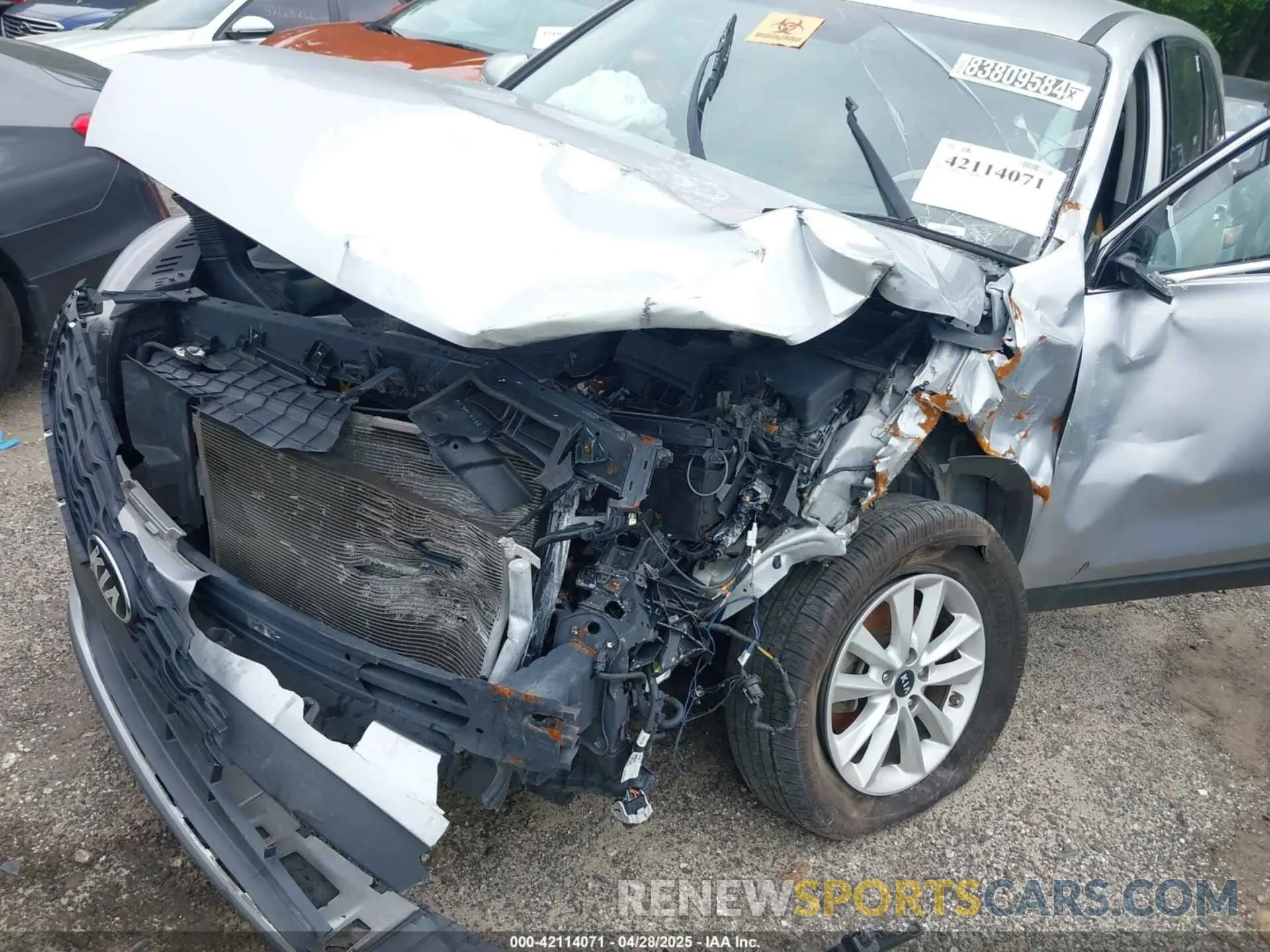 6 Photograph of a damaged car 5XYPG4A53LG645364 KIA SORENTO 2020