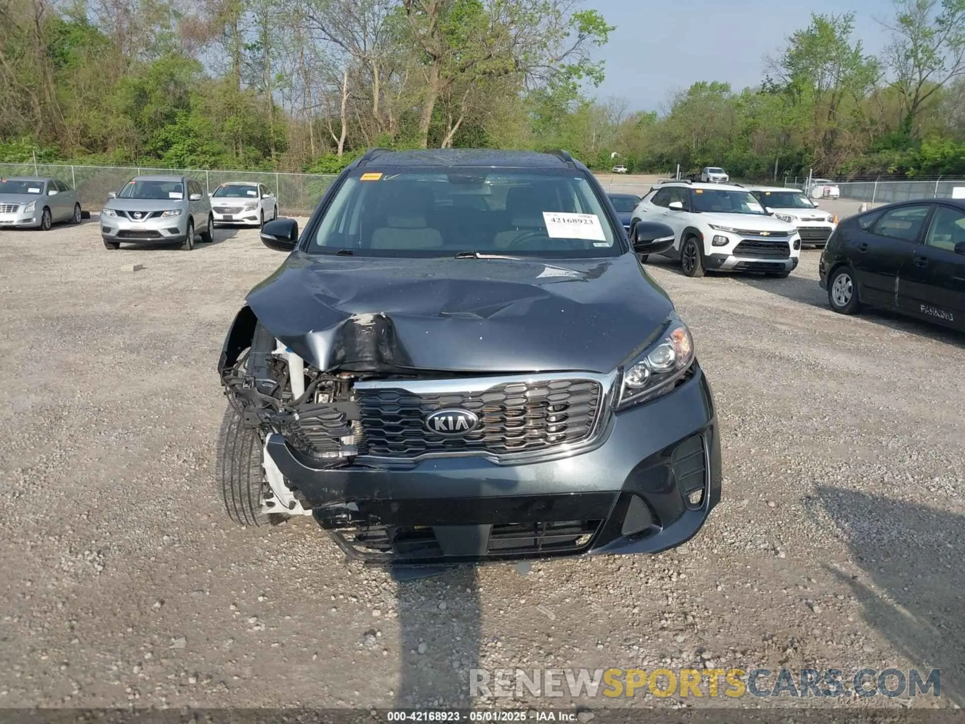 12 Photograph of a damaged car 5XYPG4A54LG706009 KIA SORENTO 2020