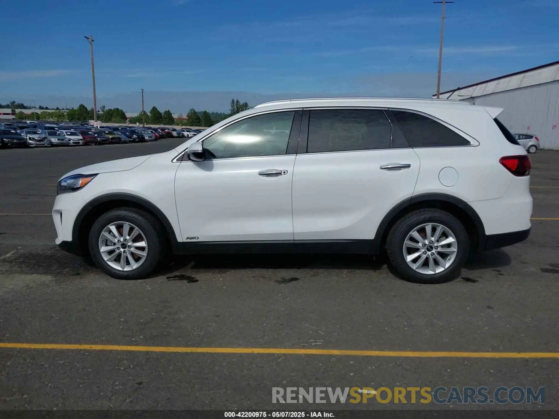 13 Photograph of a damaged car 5XYPGDA3XLG649958 KIA SORENTO 2020
