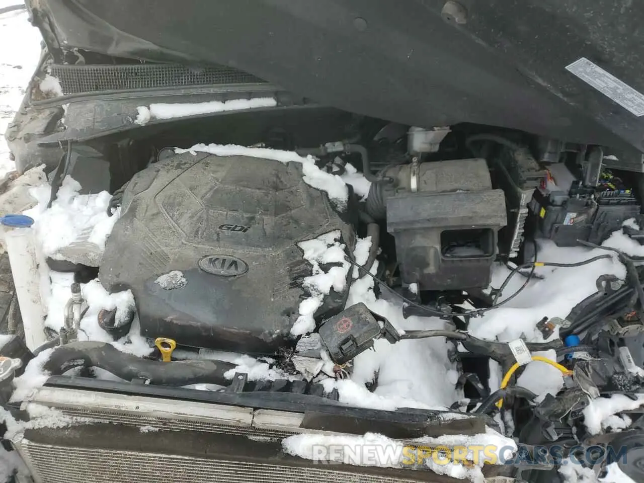 11 Photograph of a damaged car 5XYPGDA59LG637821 KIA SORENTO 2020