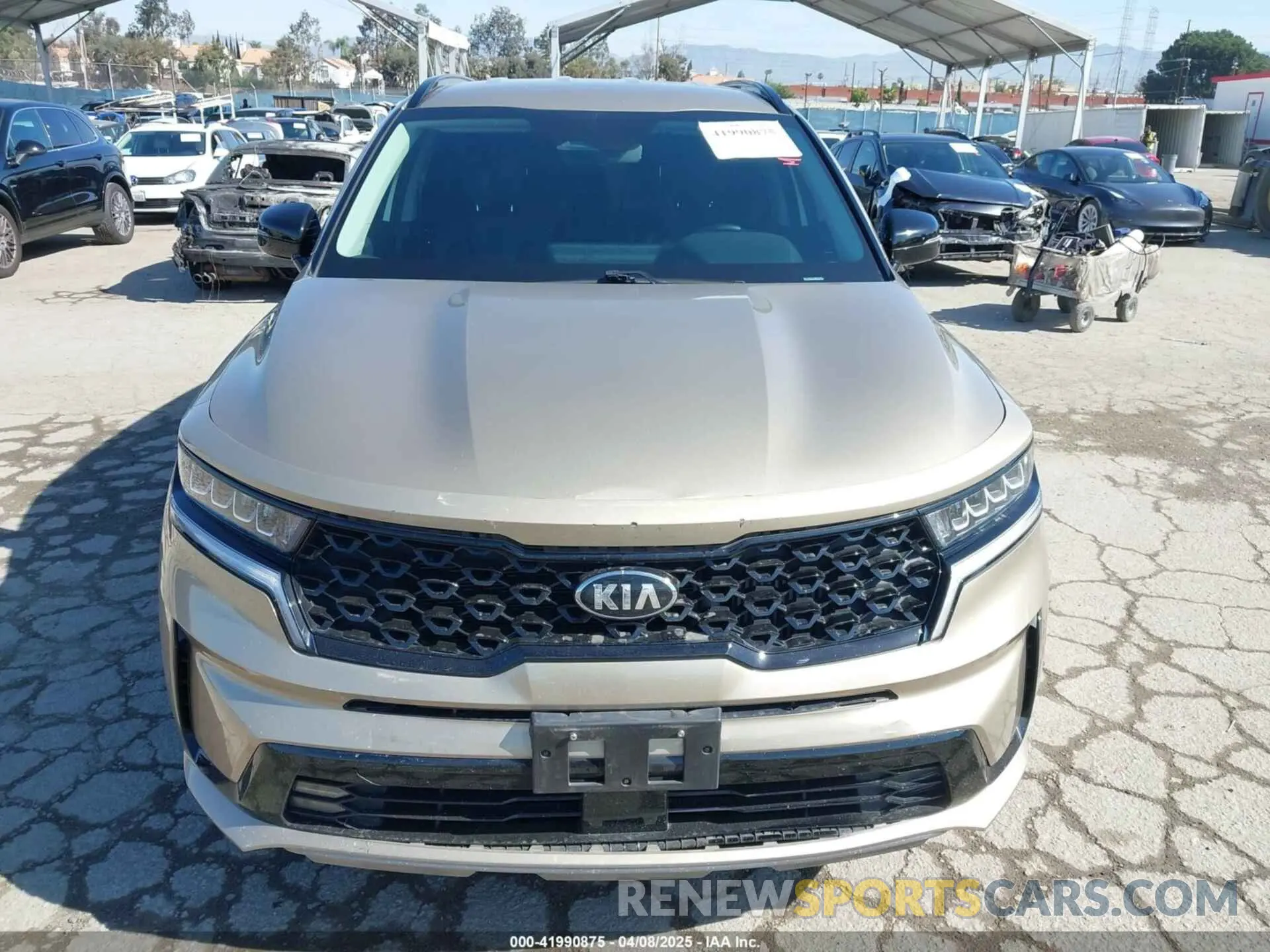 12 Photograph of a damaged car 5XYRH4LF2MG011475 KIA SORENTO 2021